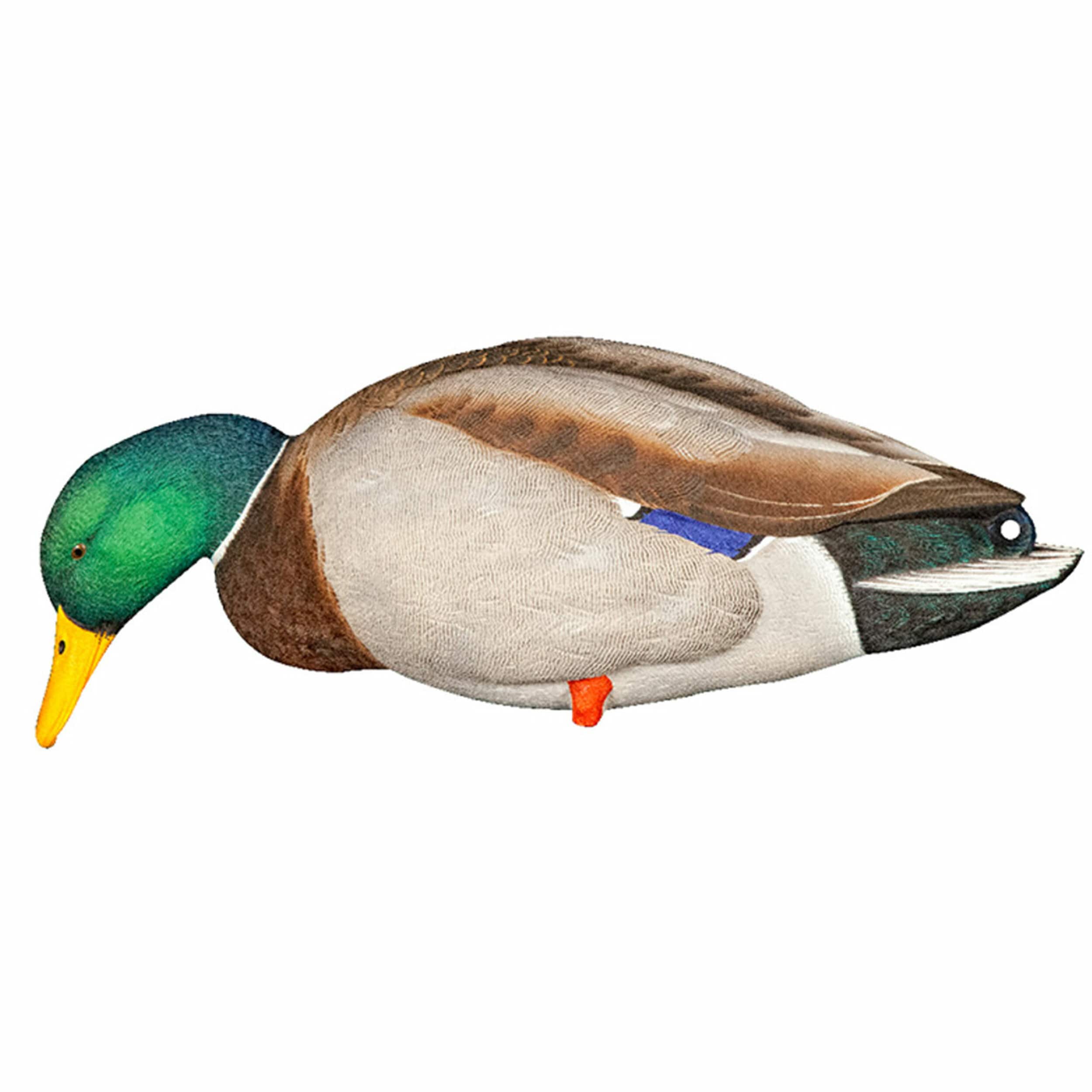  Avian X 408531 Hunting-Equipment - View #11