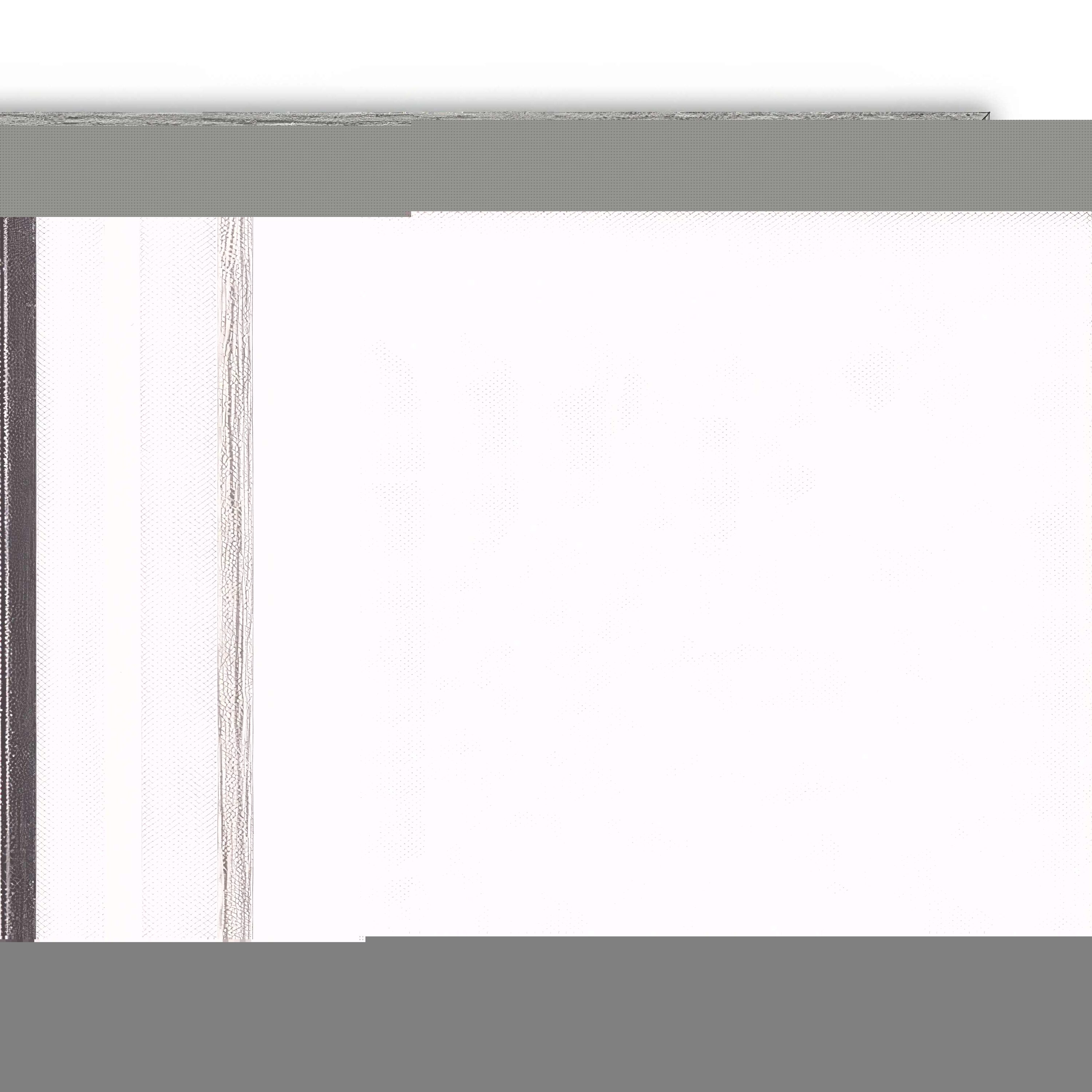 Stupell Industries BT-638-FR-20X30 Wall-Art - View #5