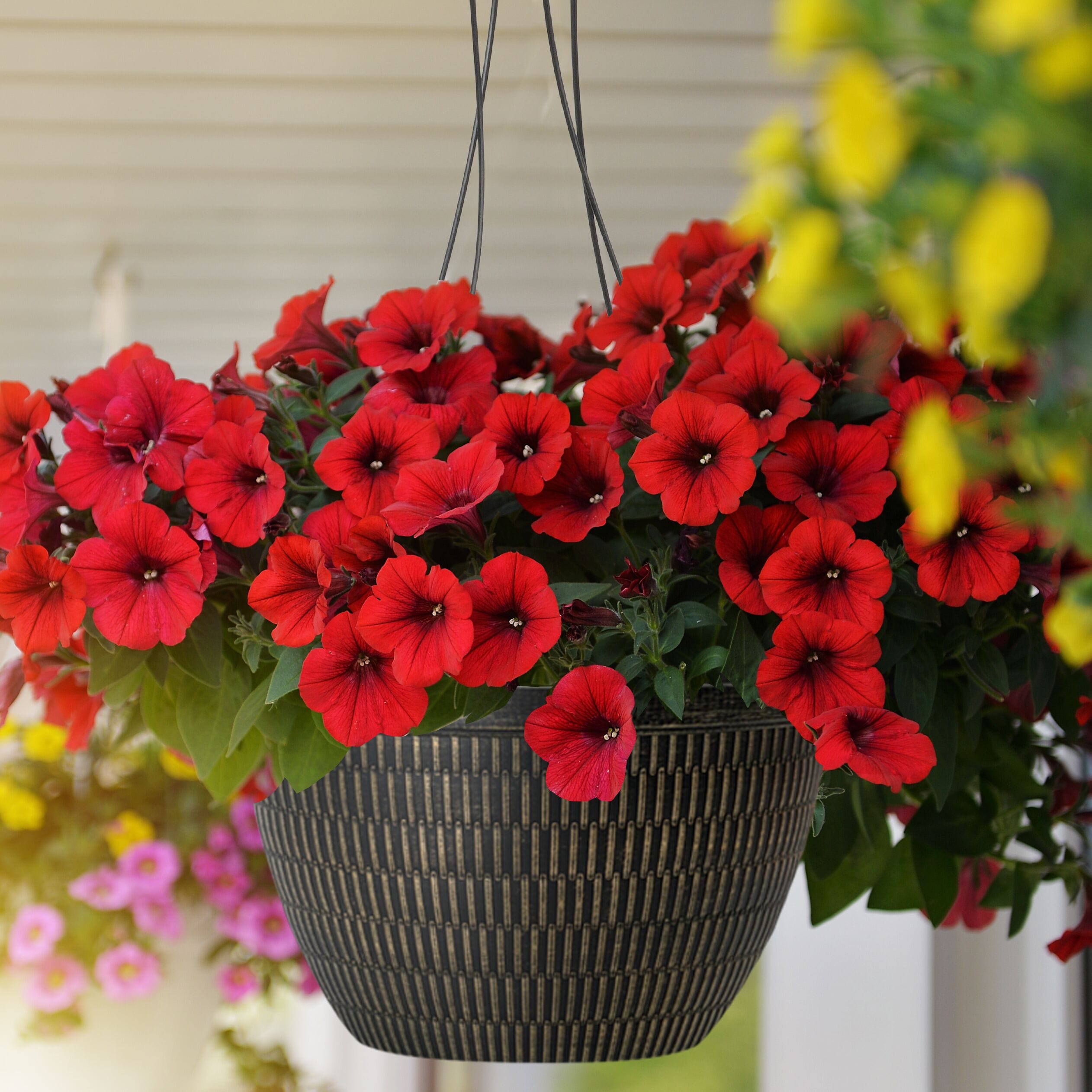 Style Selections HG2138M Planter-Window-Box - View #3