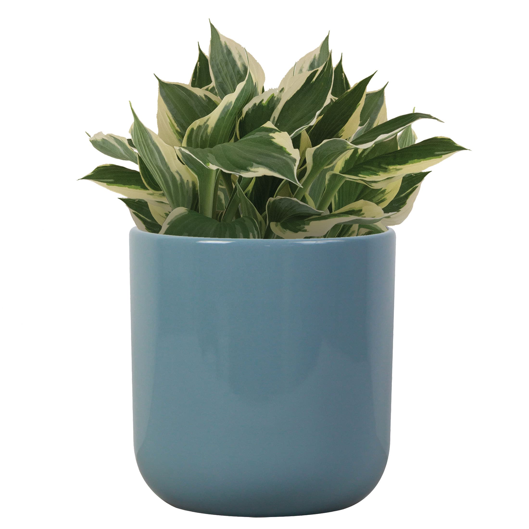 allen + roth CR01893N-05M Planter-Window-Box - View #3