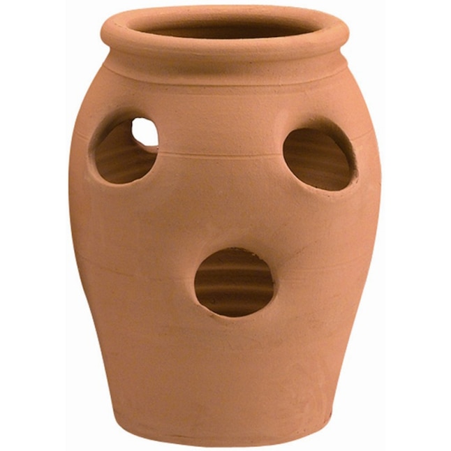 Pennington 8.25-in W x 12-in H Terracotta Clay Traditional Indoor/Outdoor  Planter in the Pots & Planters department at