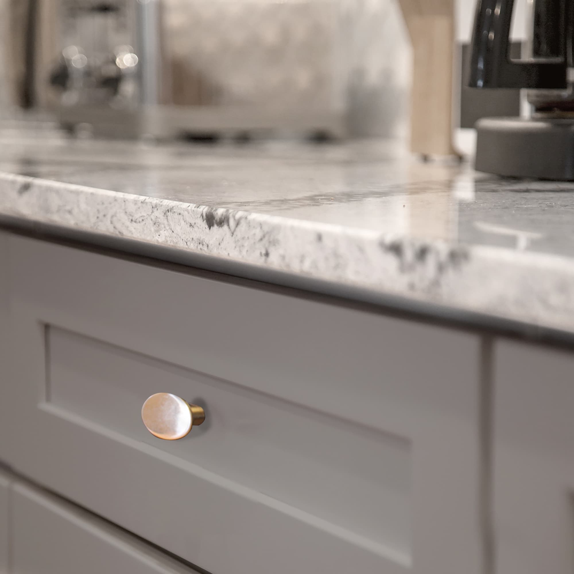 Brushed Nickel Round Cabinet Knob 10-Pack with Mounting Hardware