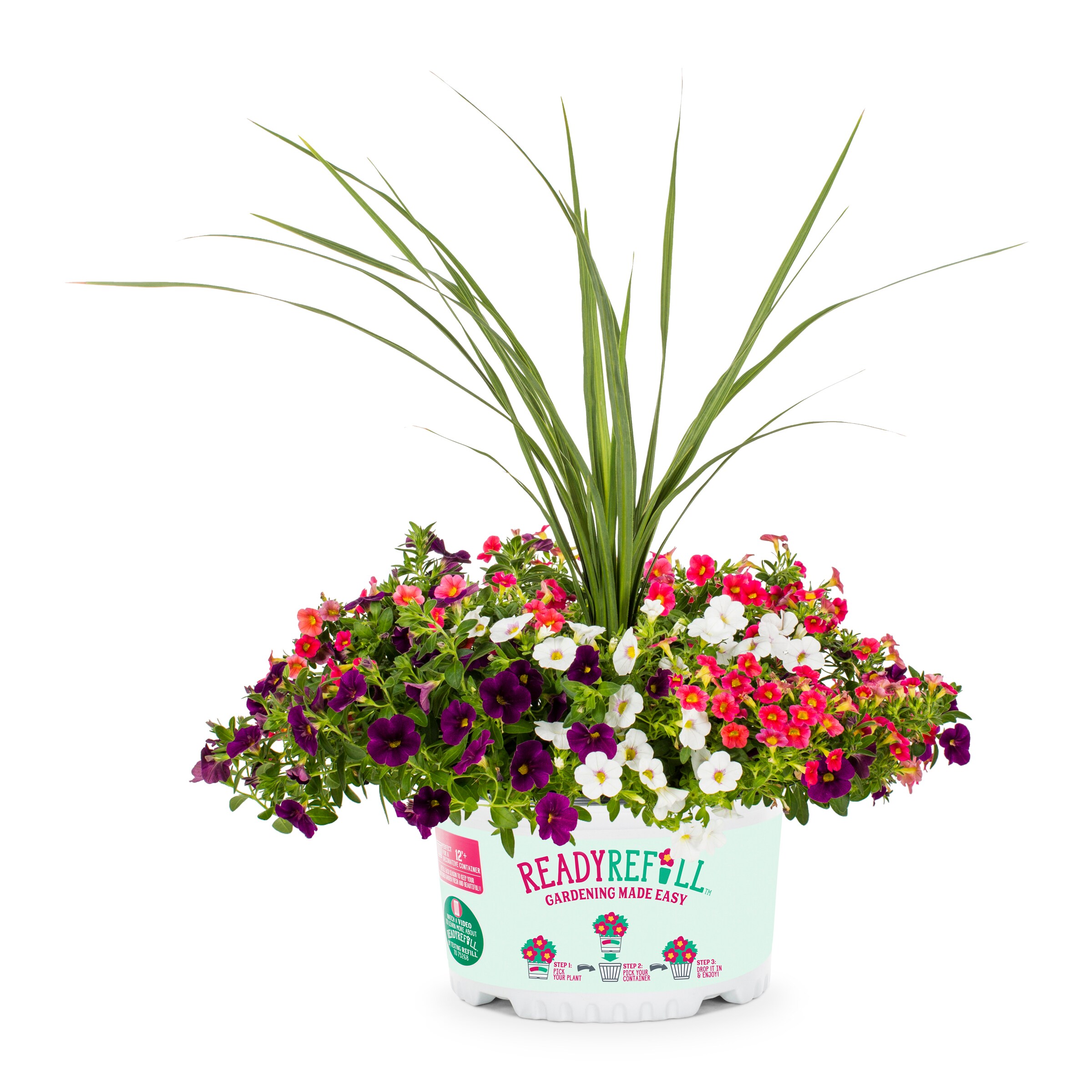 Ready Refill NURSERY Multicolor Hawaiian Country in 1.5-Gallon Pot