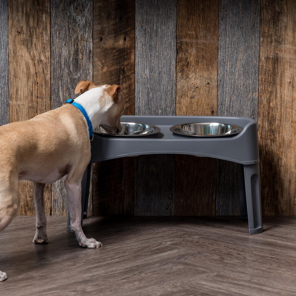 IRIS 64-oz Metal and Plastic Dog Elevated Feeder in the Feeders department  at