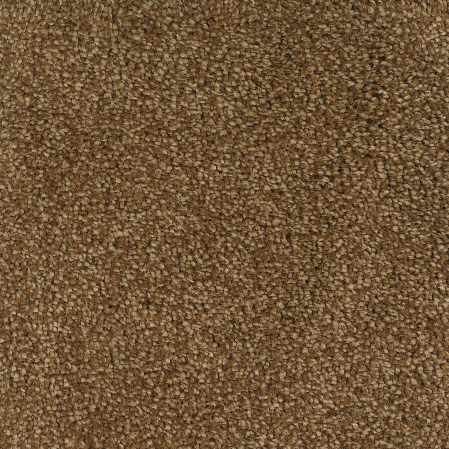 STAINMASTER S124615BROWN/TA-9078 (Sample) TruSoft Shafer Valley Smooth Stone Textured Carpet