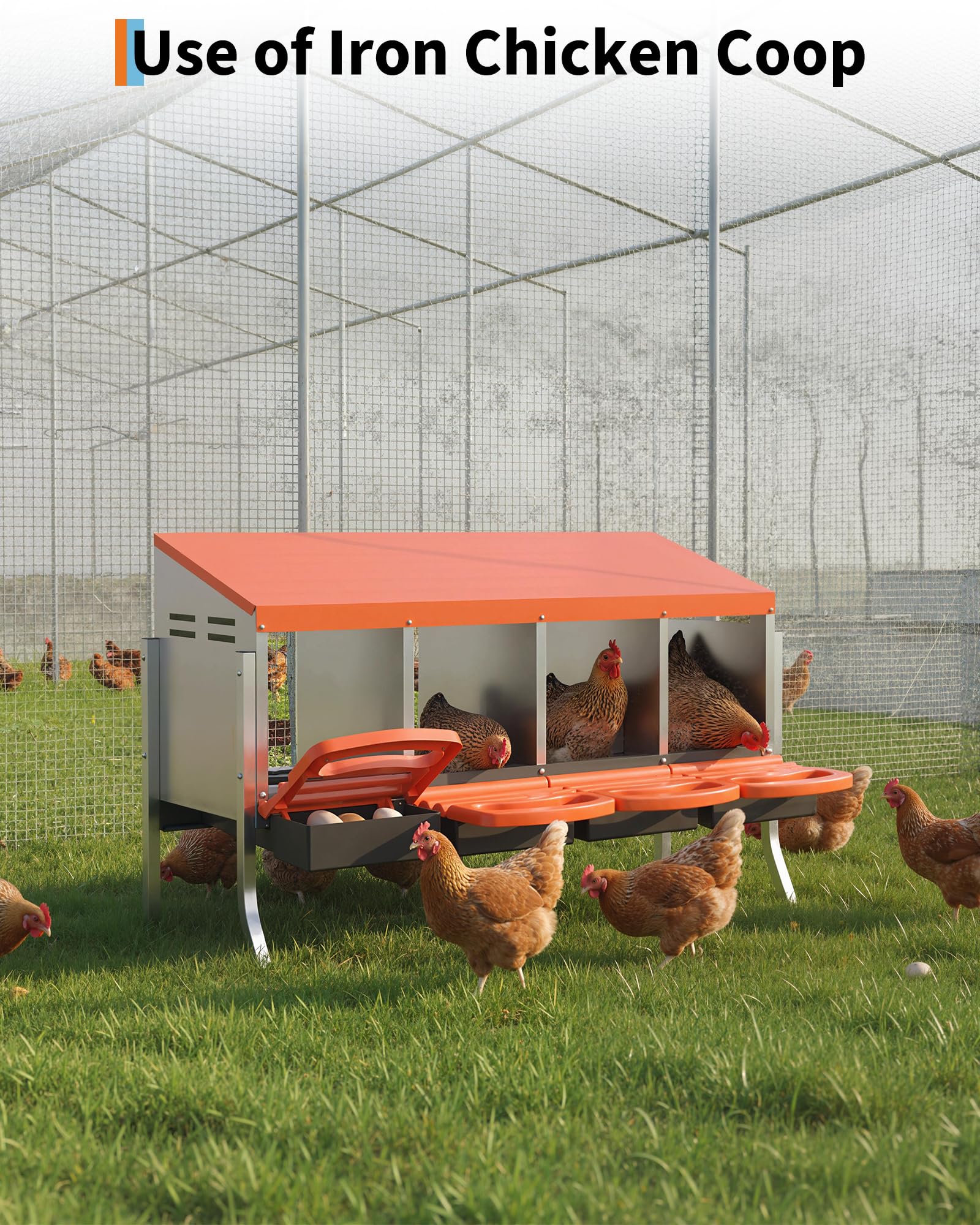 DEXSO NOVA-44ANRLY2K6M Chicken-Coops-Rabbit-Hutches - View #4