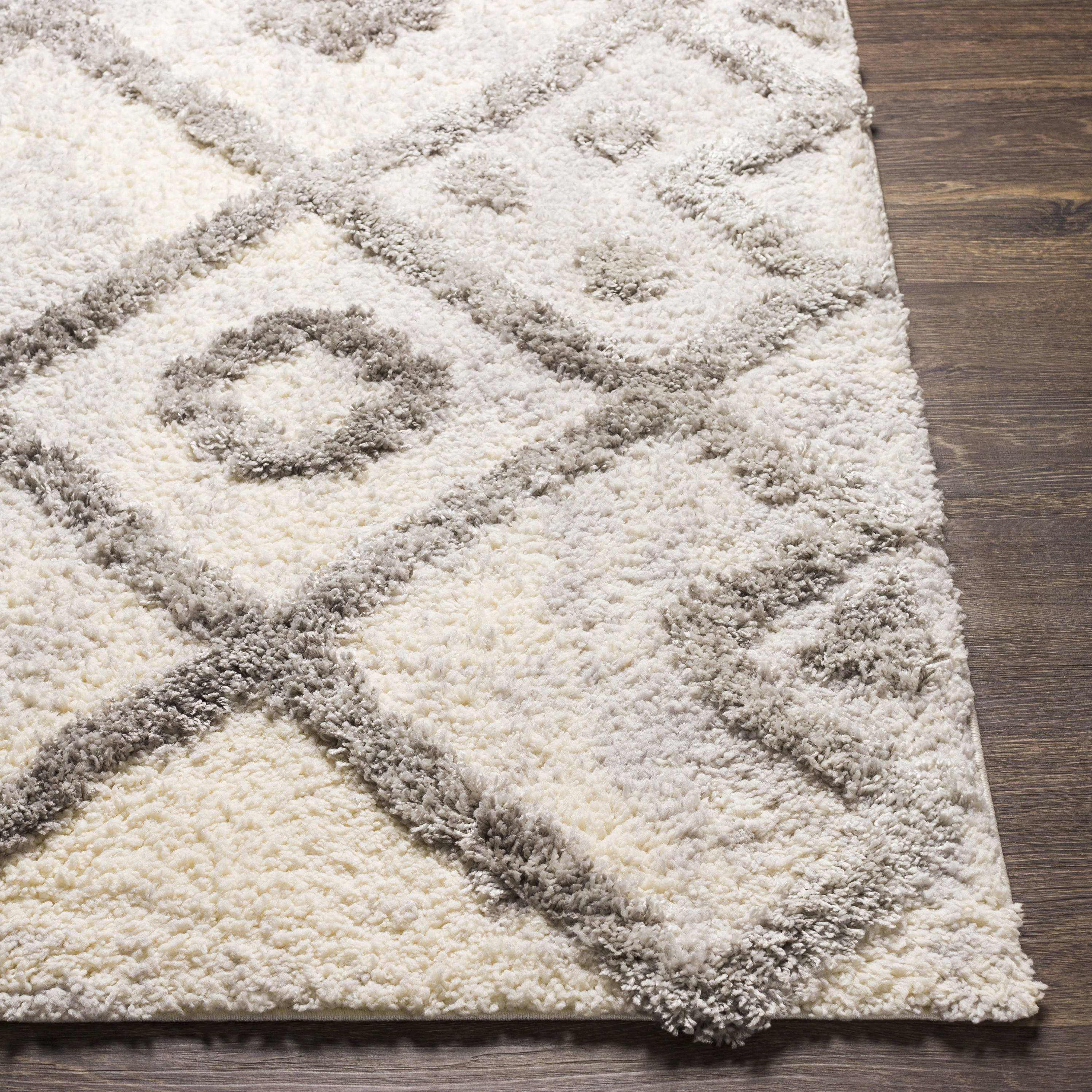 Surya ETN2305-537 rugs - View #3