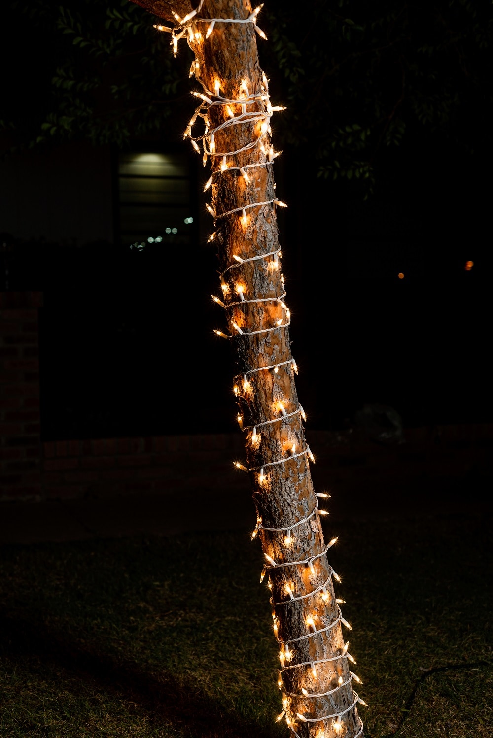 Joyfy 30801 Christmas-String-Lights - View #4