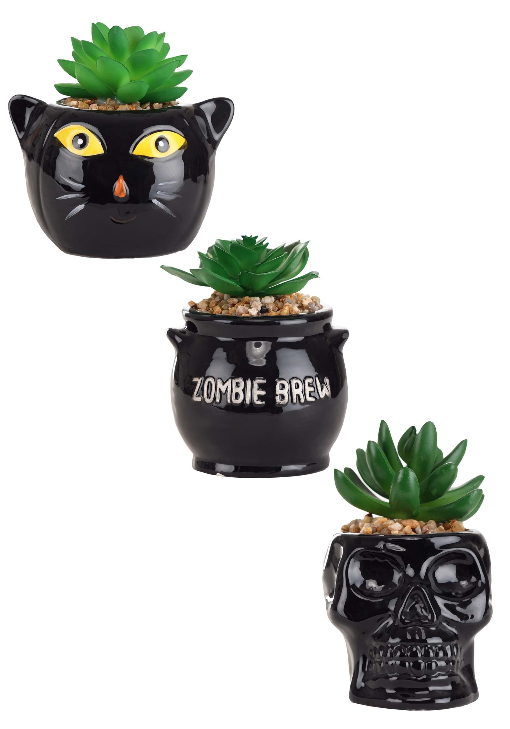 Transpac TPCV4349-ST Halloween Succulent Planter Set - Cauldron Cat Skeleton Standard
