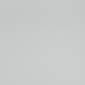 Light Gray/White