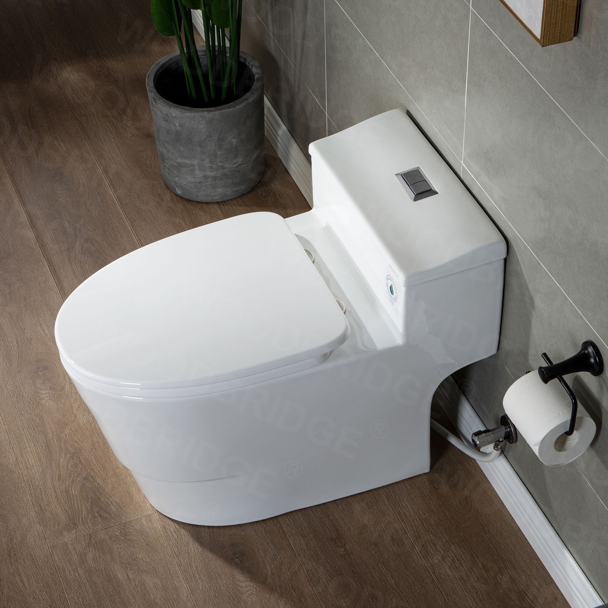 Woodbridge LT520 toilets - View #10