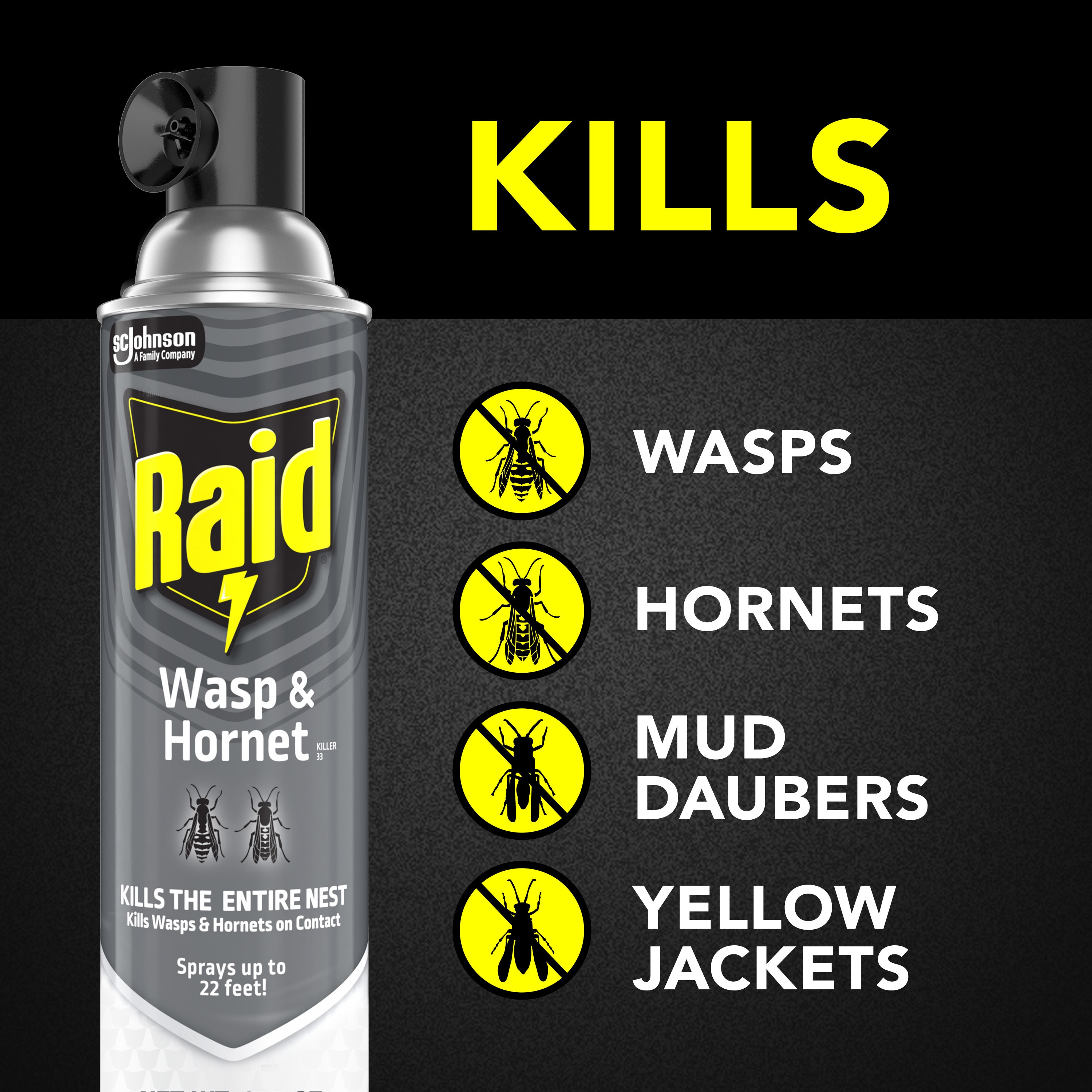 Raid 327314 pesticides - View #2