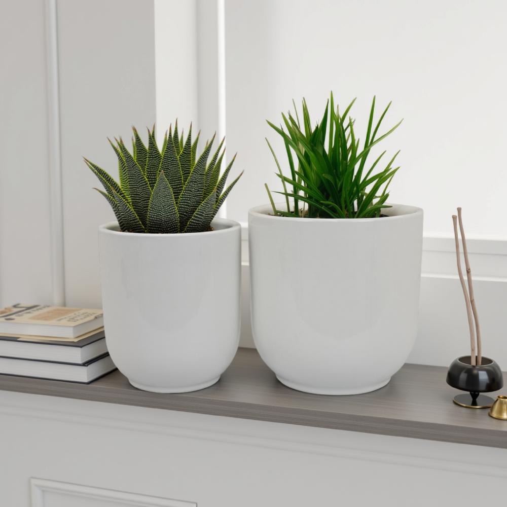 Benzara BM331079 Planter-Window-Box - View #6