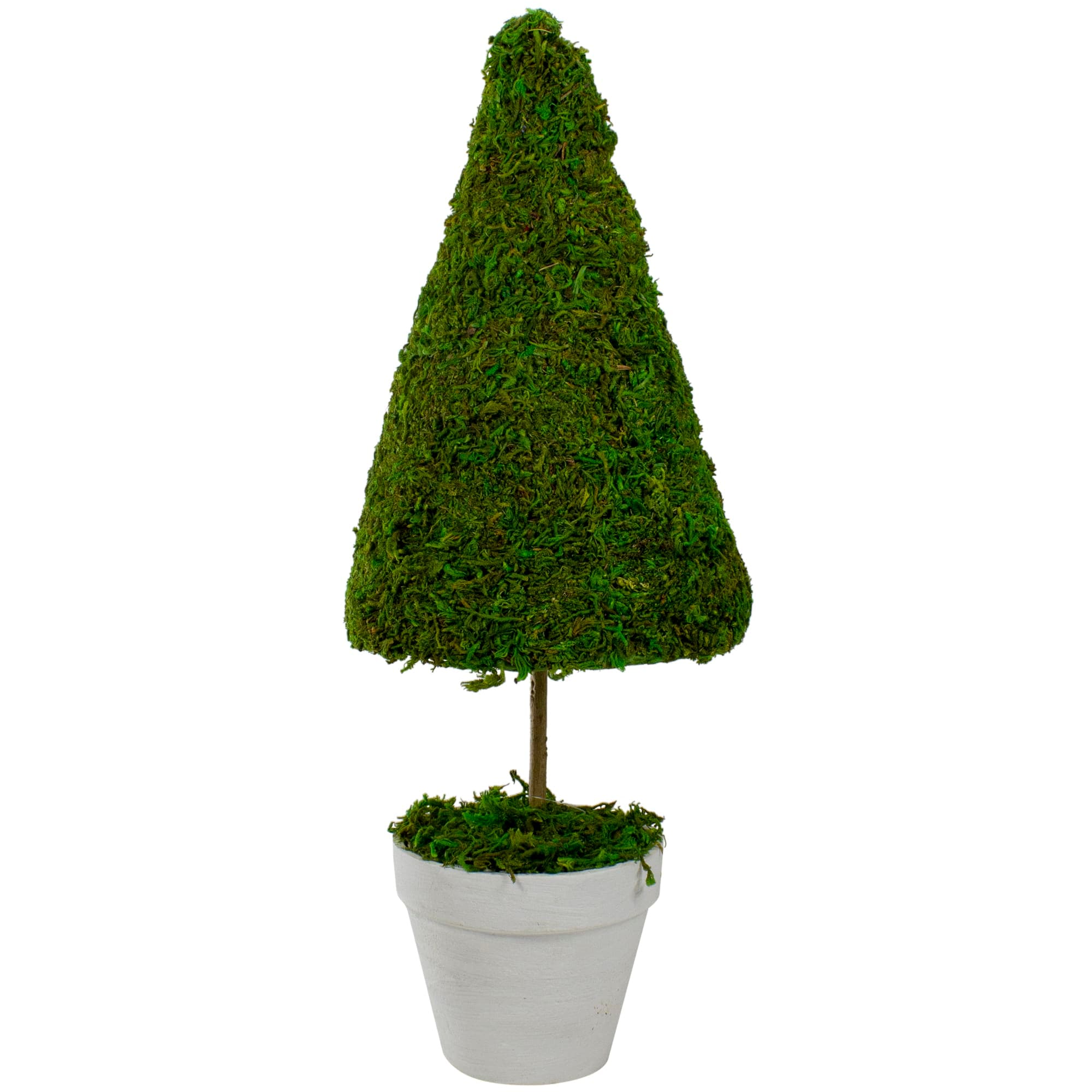 Northlight NORTHLIGHT-SH70750 Artificial-Plants-Trees - View #2