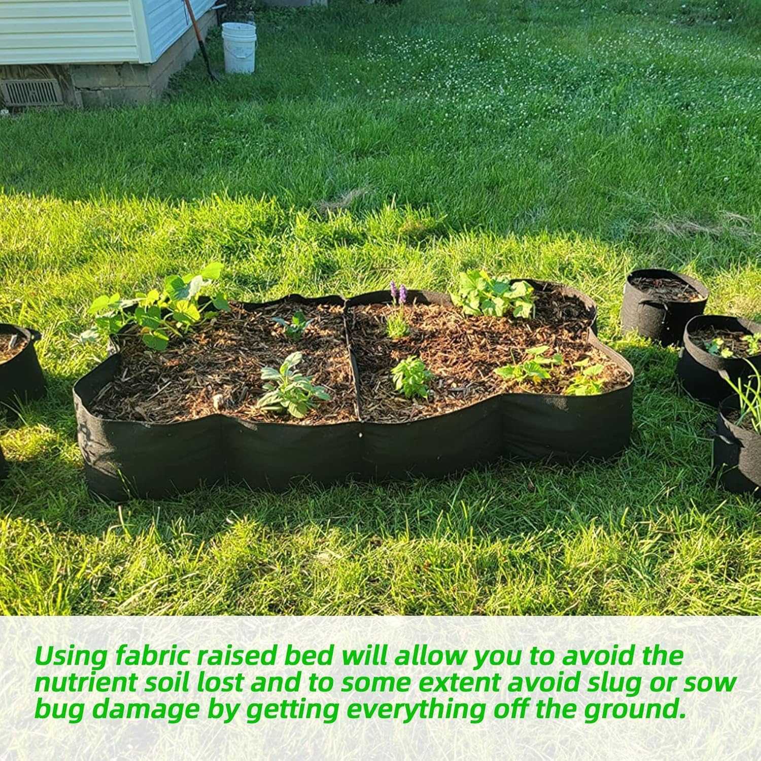 MaseiKar Fabric Raised Garden Bed 6x3x1ft Garden Grow Bed Bags for ...