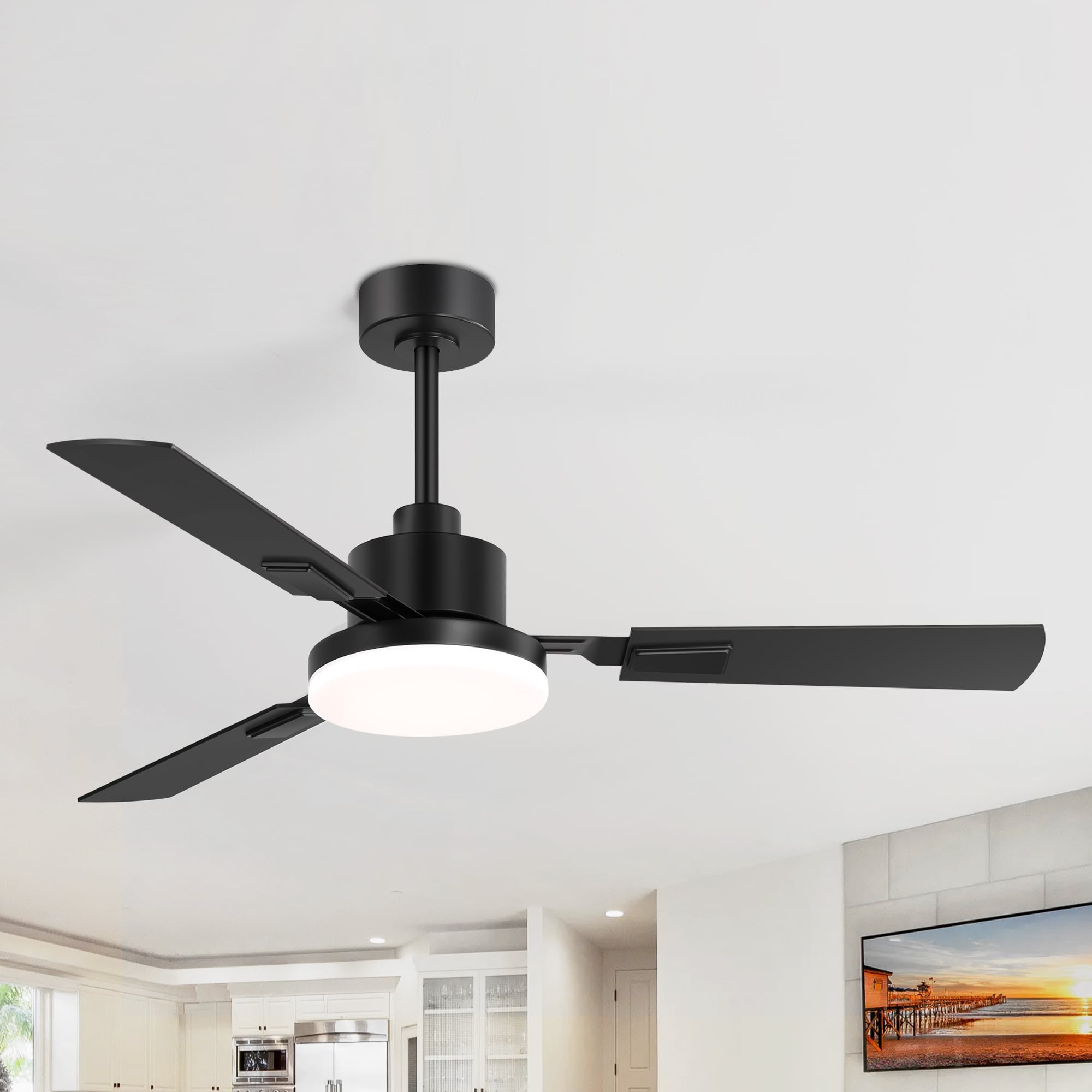 Breezary 32029-BK Ceiling-Fans - View #5