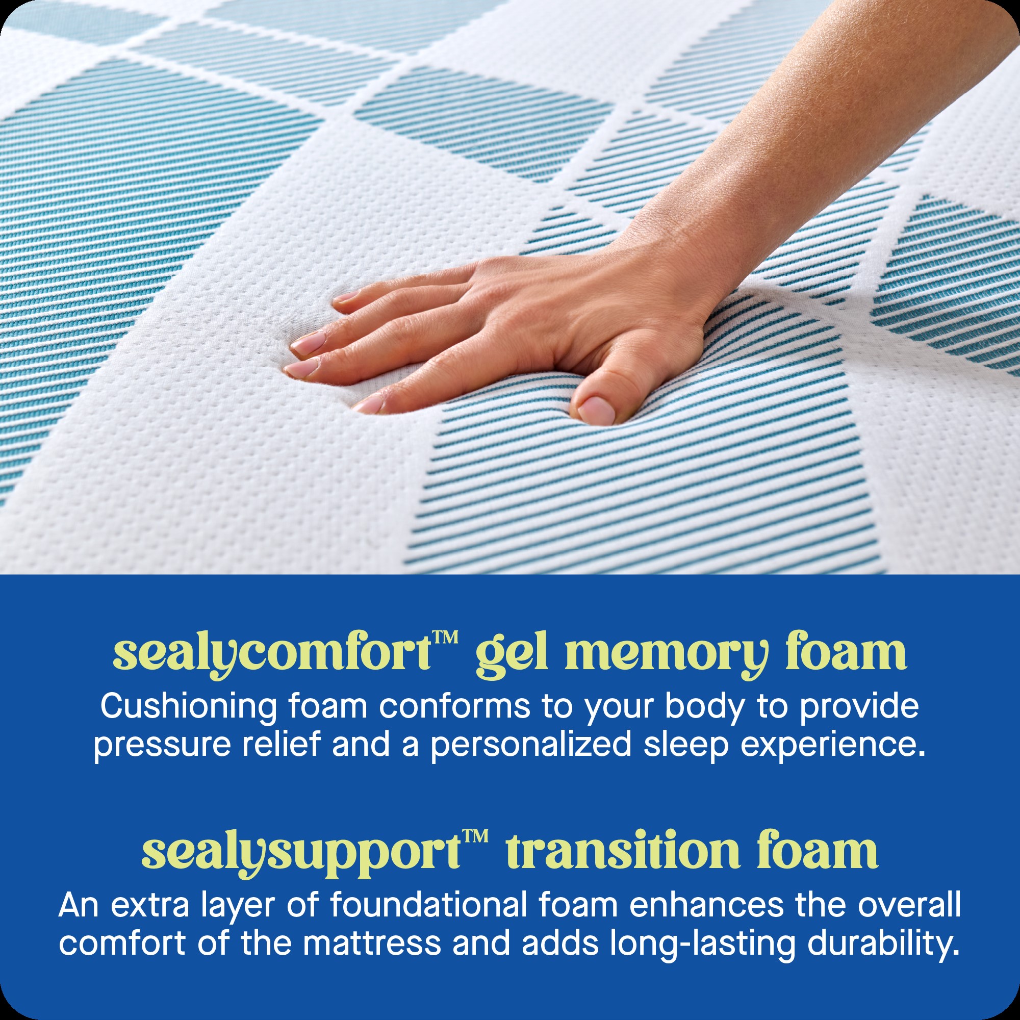 Sealy F03-00237-QN0 Mattresses-Boxsprings - View #4