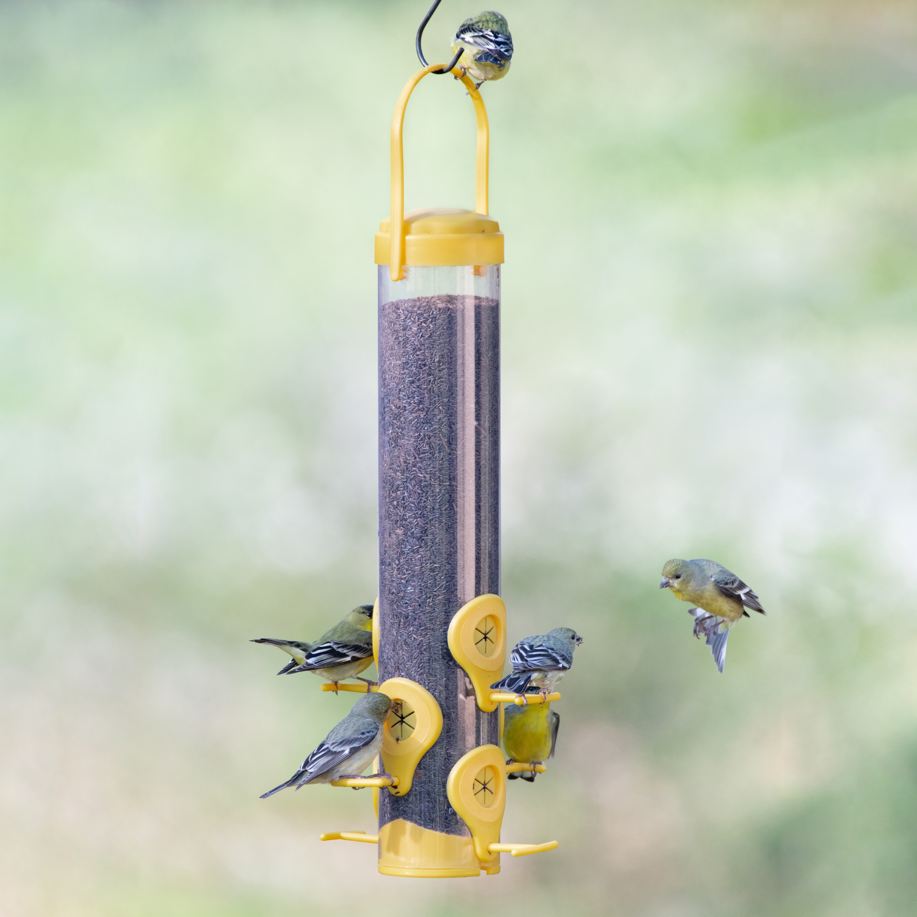 Perky-Pet 481F Bird-Feeders - View #2