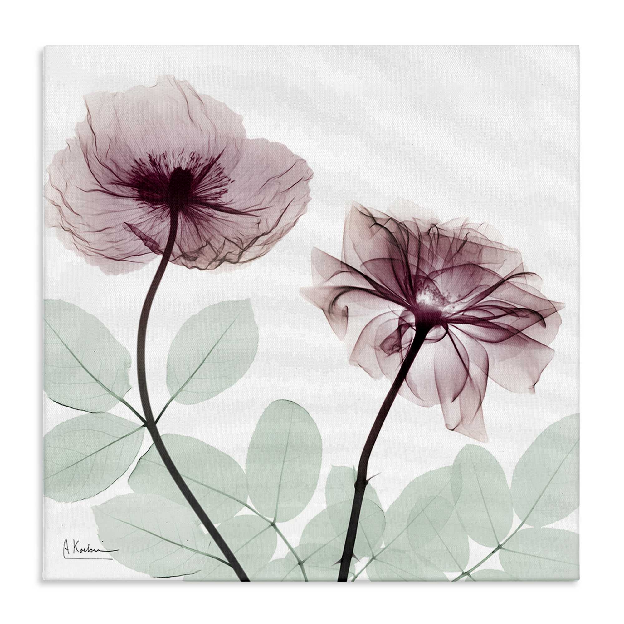 Stupell Industries BS-024-CN-24X24 Delicate Floral Bunches Canvas Wall Art By Albert Koetsier 24 x 24