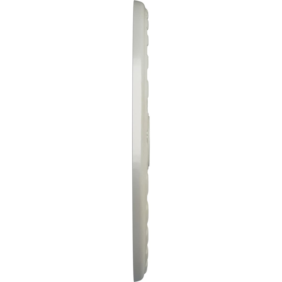 Ekena Millwork CM31PMFBS Ceiling-Medallions - View #3