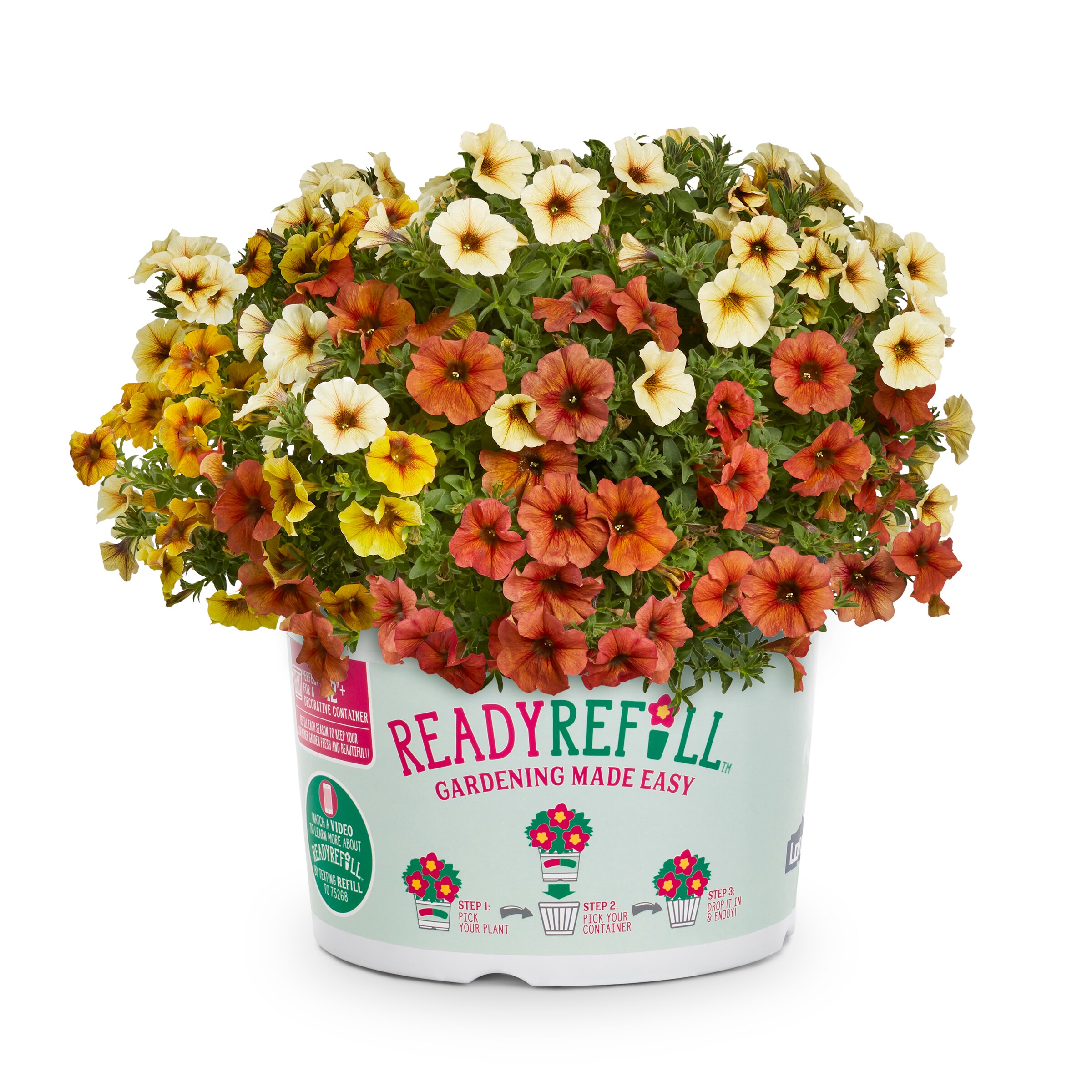 Ready Refill NURSERY Multicolor Mixed Annuals Combinations in 2.5-Gallon Pot