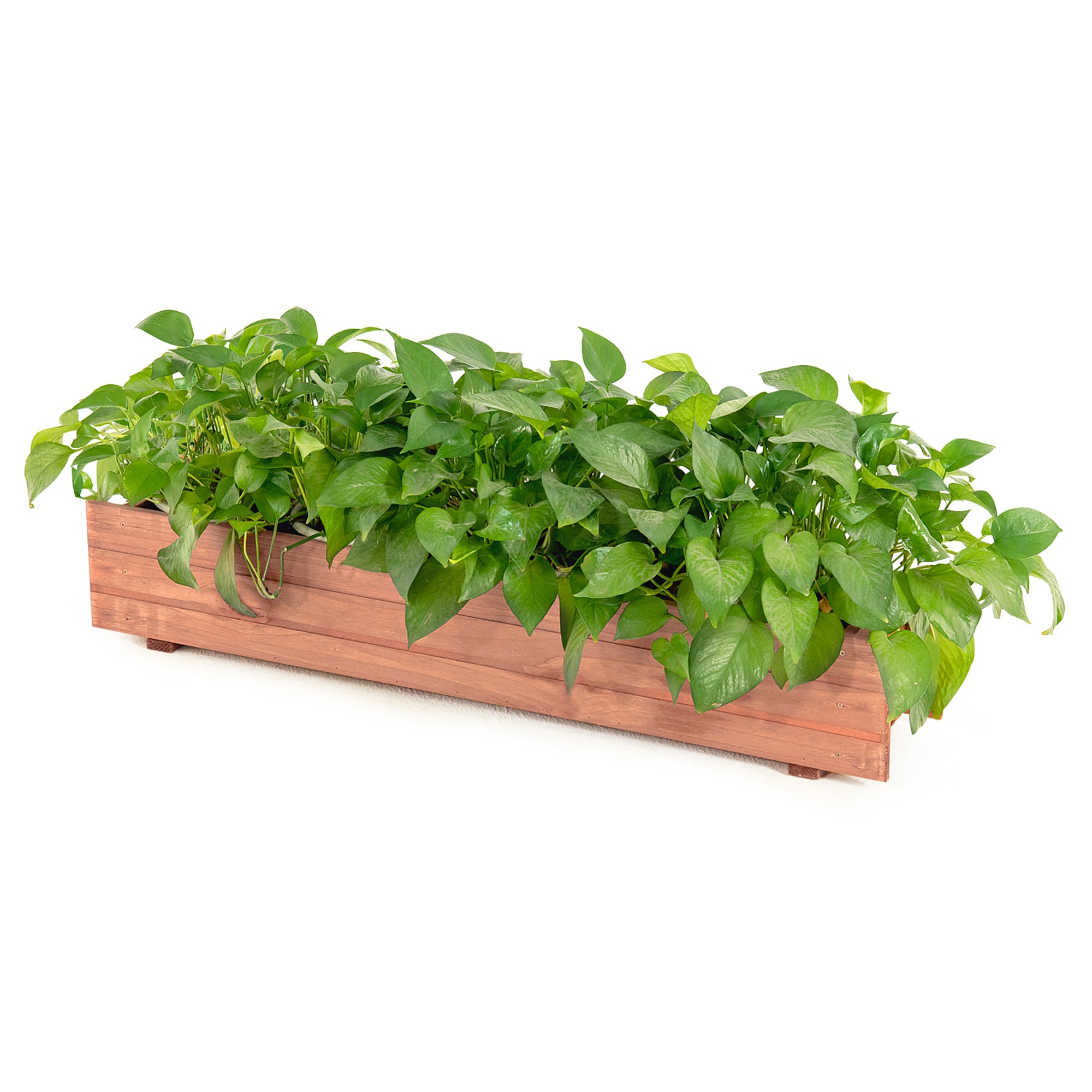 Costway LWS00522 7-in W x 36-in L x 6.5-in H Brown Wood Raised Garden Bed