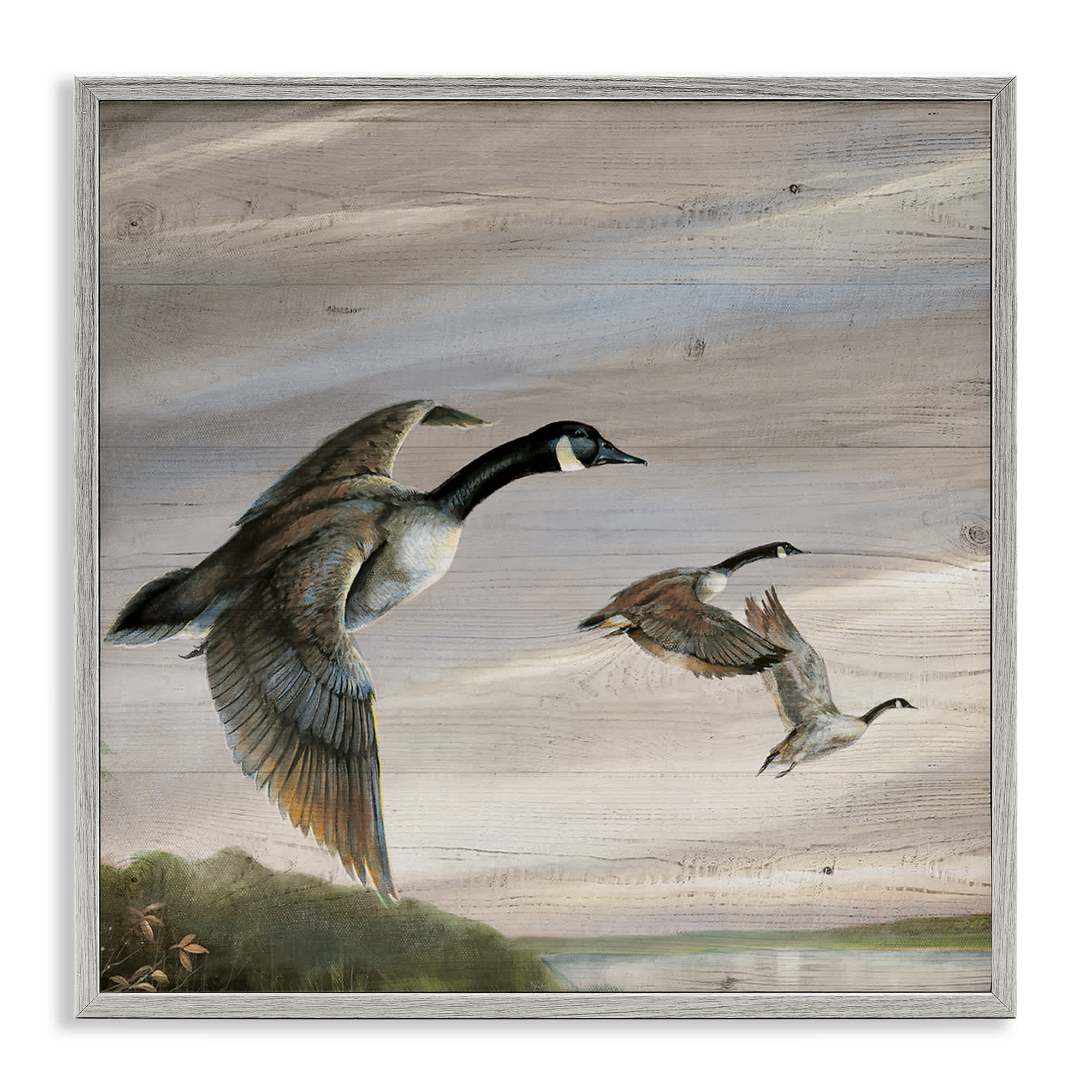 Stupell Industries BS-214-GFF-24X24 Flying Geese over Rustic Gray Framed Giclee Art By Ruane Manning 24 x 24