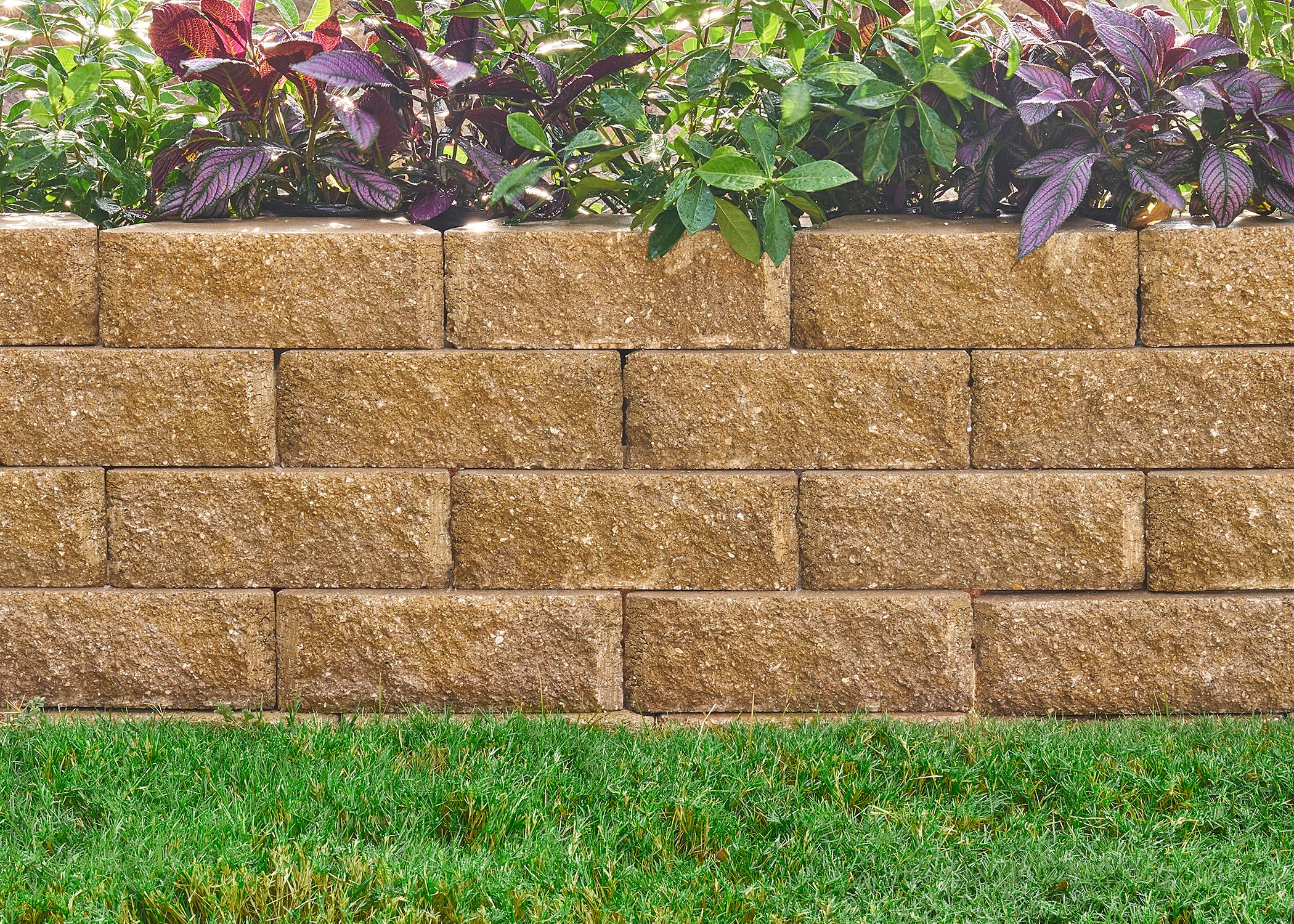 Pavestone 87578.TWBL Retaining-Wall-Block - View #3