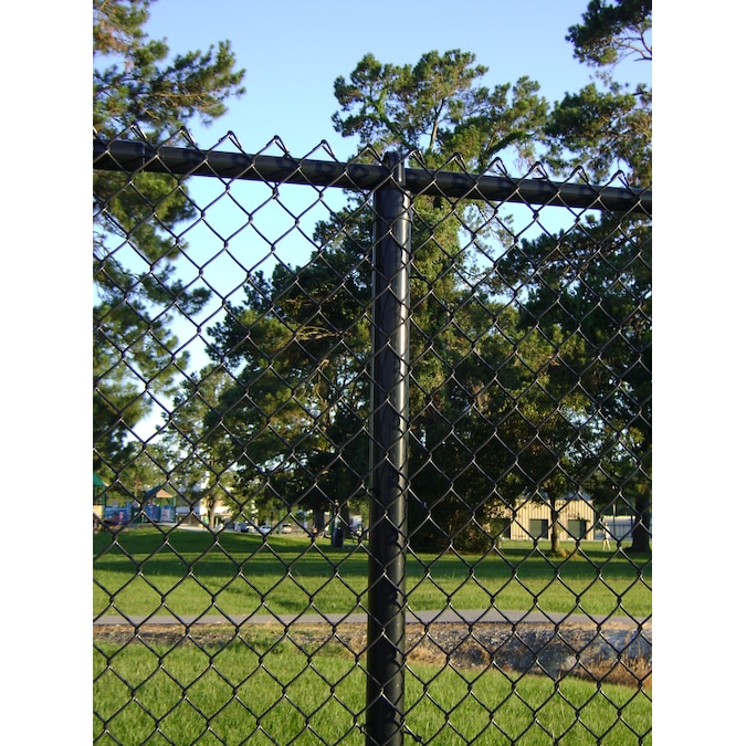 5-ft H x 50-ft L 9-Gauge Vinyl Coated Steel Chain Link Fence Fabric in ...