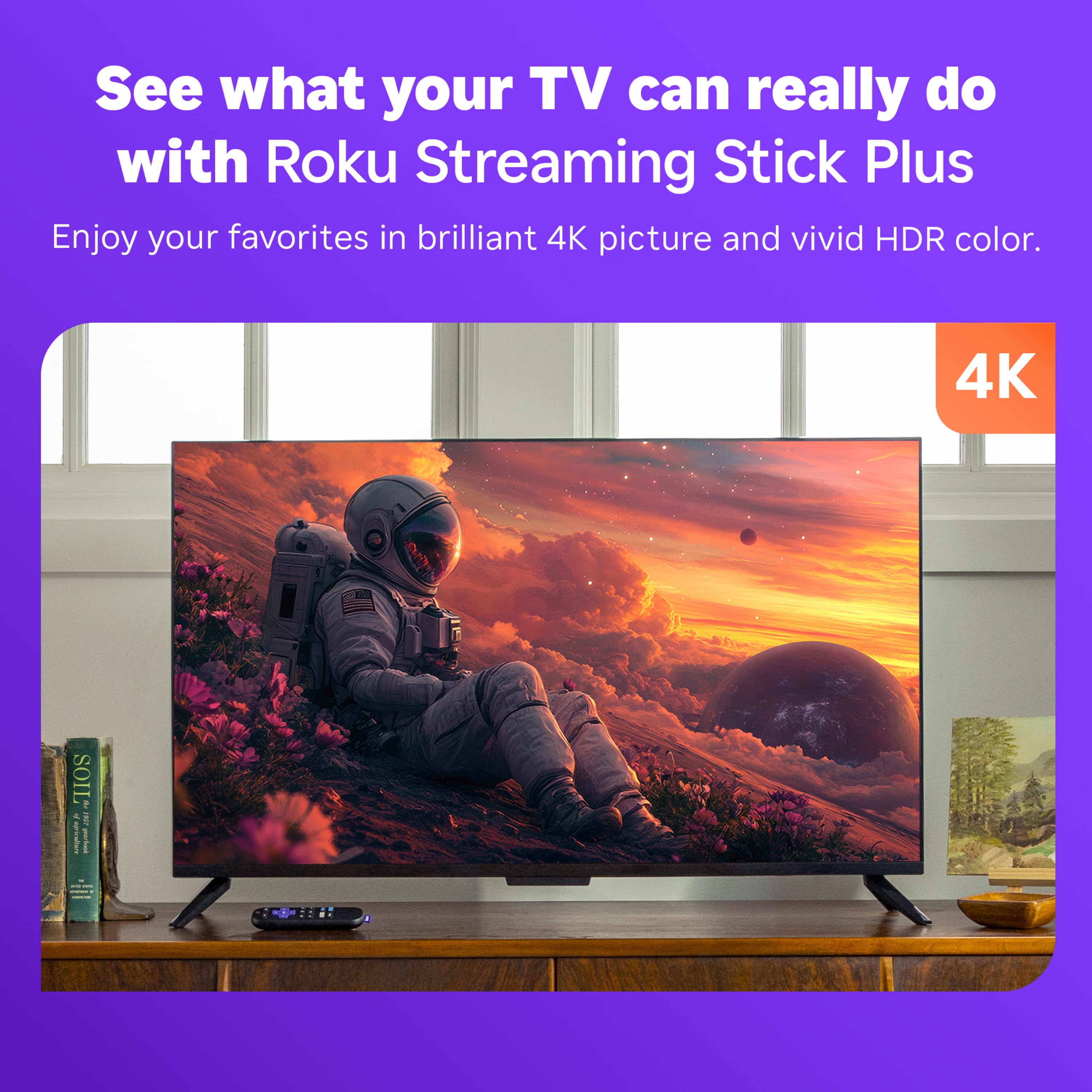 Roku 3830R Streaming-Devices - View #3