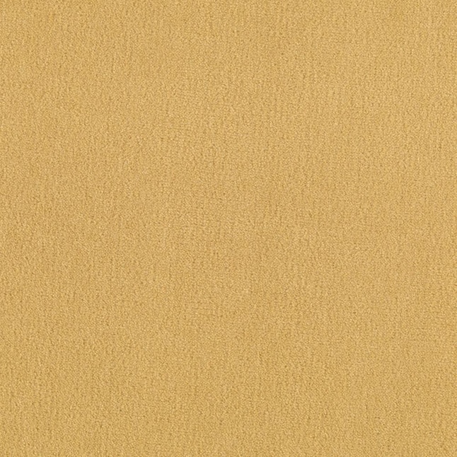 Mohawk Home & Office Sophisticated Look 30 Daisy Textured Carpet Sample (Interior) Mohawk Home & Office Sophisticated Look 30 Daisy Textured Carpet Sample (Interior)
