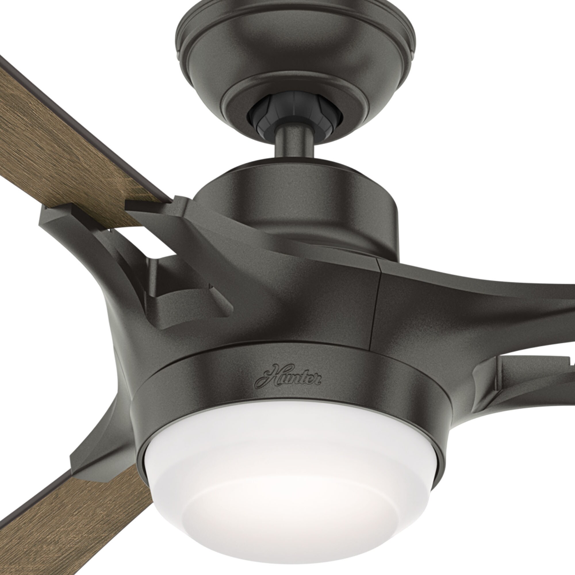 Hunter 59379 Ceiling-Fans - View #9