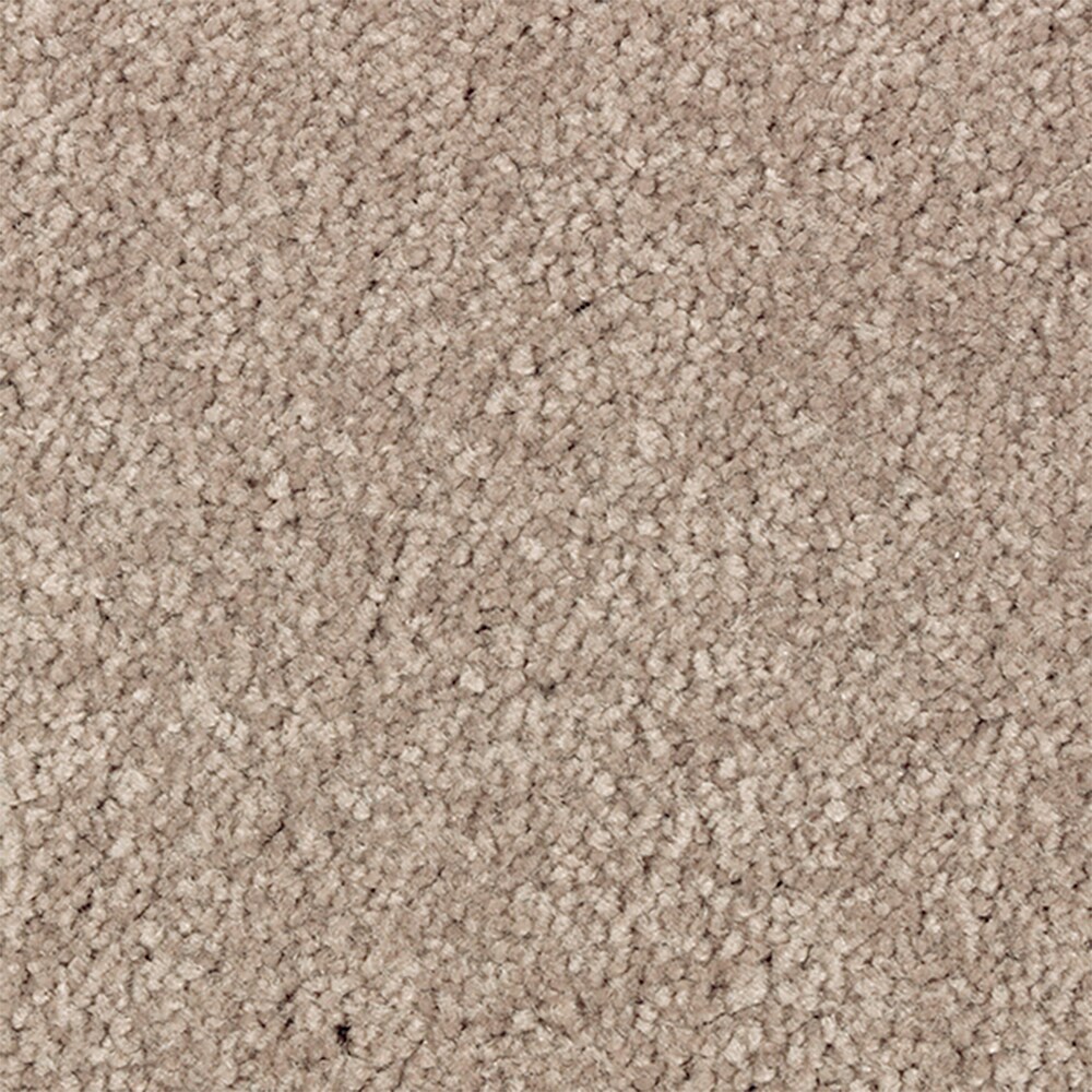 STAINMASTER STP66-15-L014 Serenity Stride I Acorn Brown 50-oz sq yard Polyester Textured Indoor Carpet