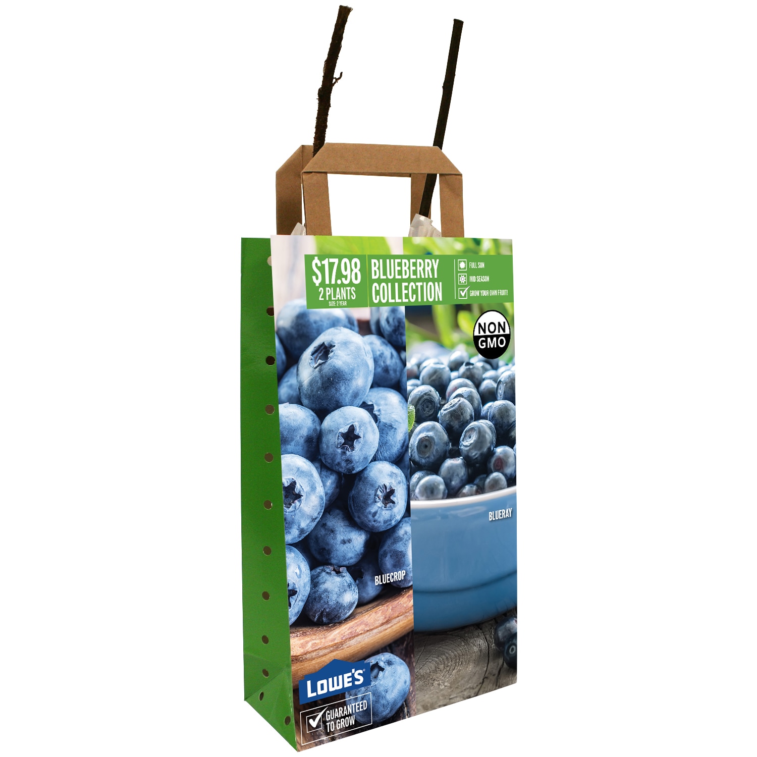 Wrotter | Gardening Supplies | Shop Burpee 99106