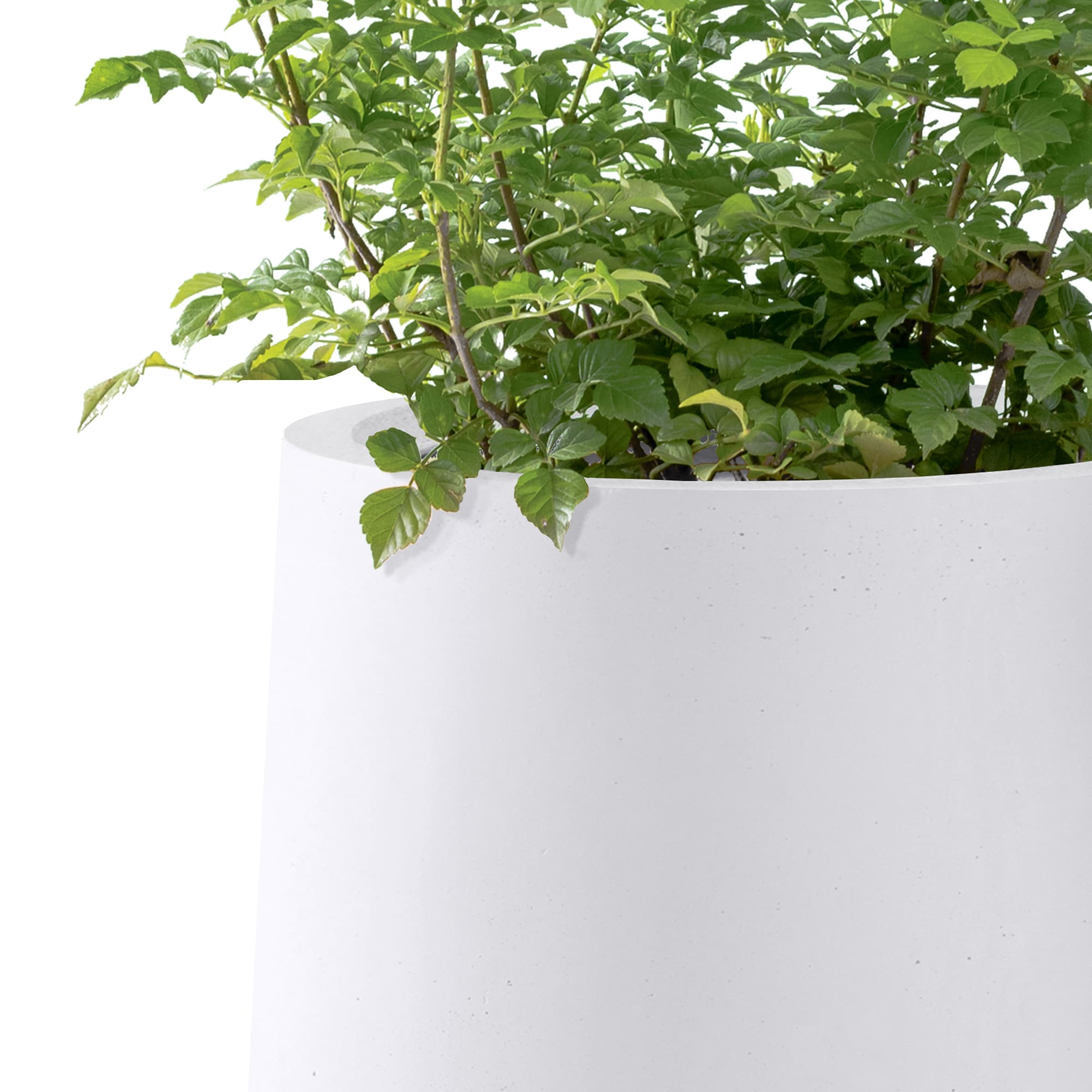 PLANTARA PA1522C-8011 Planter-Window-Box - View #9