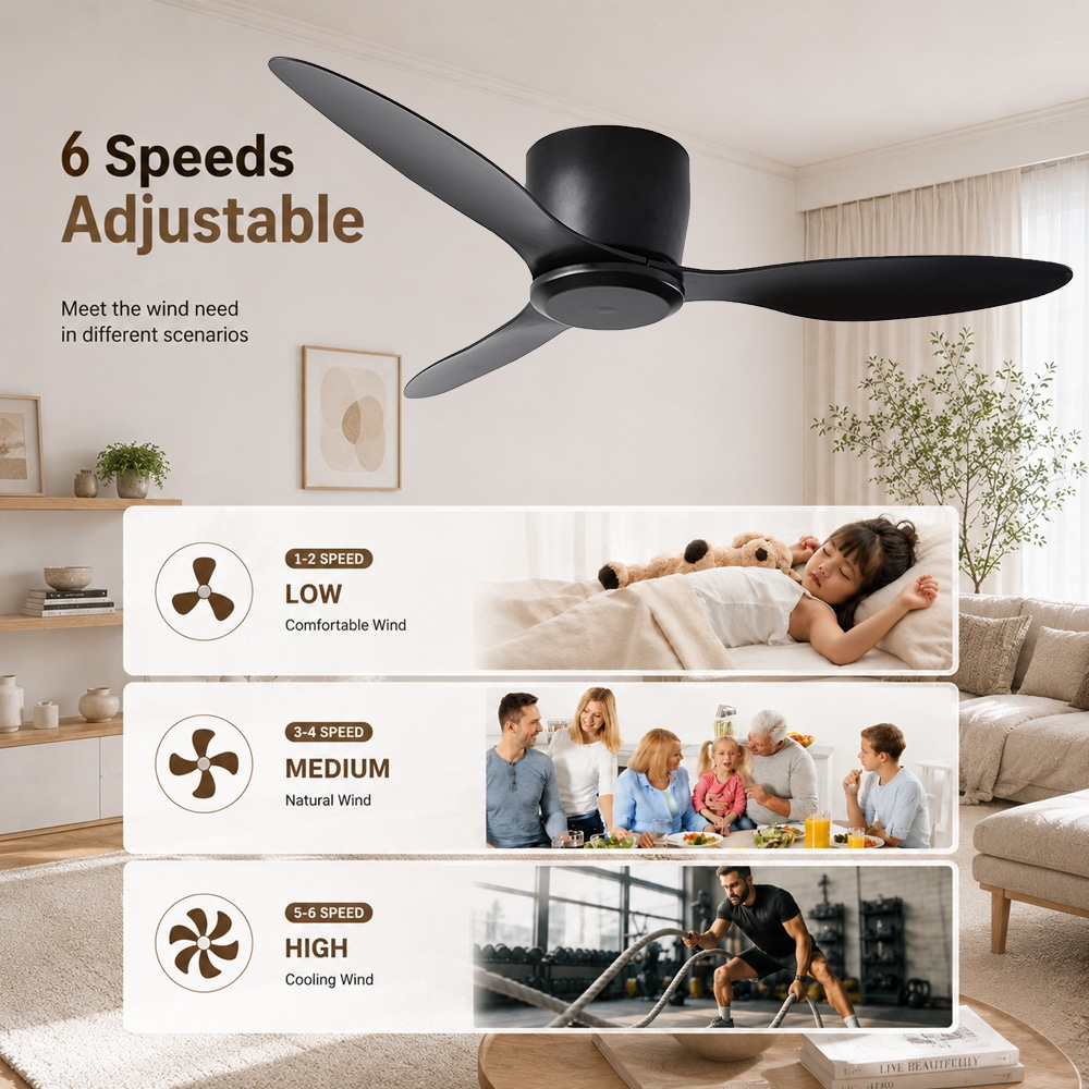 Duclsaty W2352P204385 Ceiling-Fans - View #3