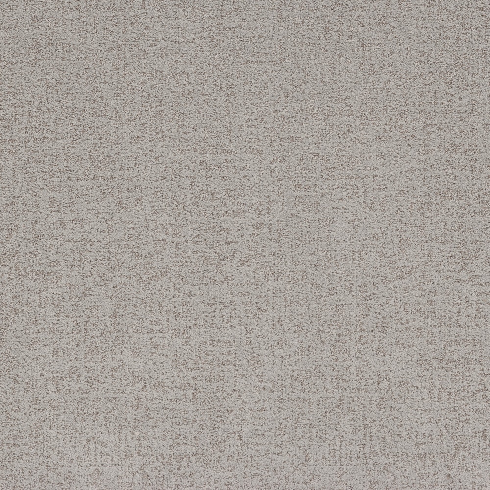 STAINMASTER PetProtect 7L977-508-SAMP (Sample) 8-in x 8-in with LeakDefense Bone Appetit Cityline Gray 40.9-oz sq yard High-performance polyester Pattern Indoor Carpet