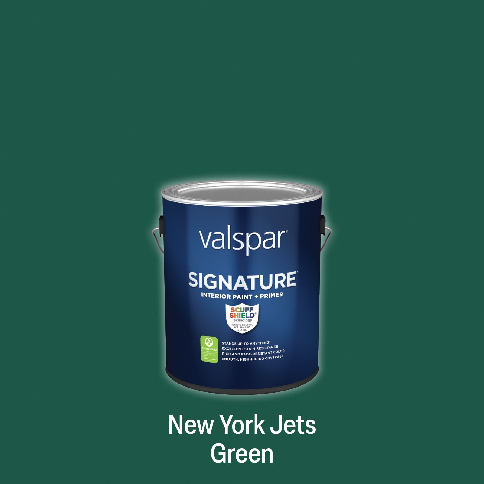 Valspar NYJ GREEN-5638976 Signature Satin New York Jets Green Latex Interior Paint Paint + Primer ( 1-gallon )