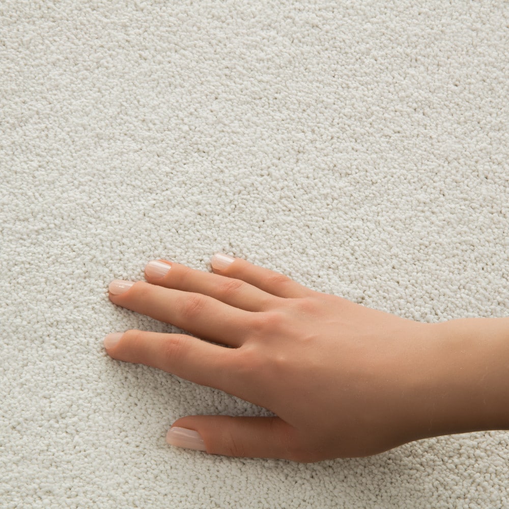 STAINMASTER PetProtect 7L97000150 Carpet-Panel - View #4