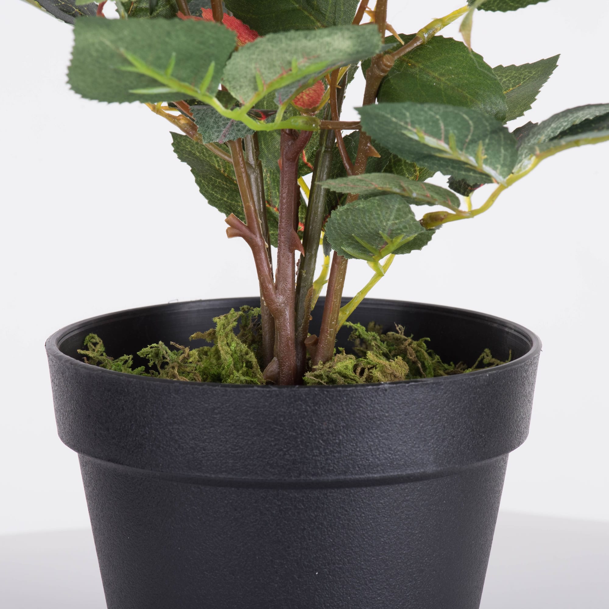 Vickerman TA181703 Artificial-Plants-Trees - View #4