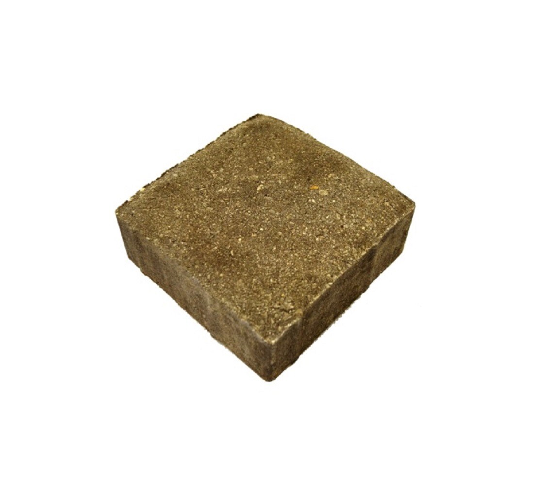 Belgard 10155478 6-in L x 6-in W x 2-in H Square Gray Charcoal Concrete Paver