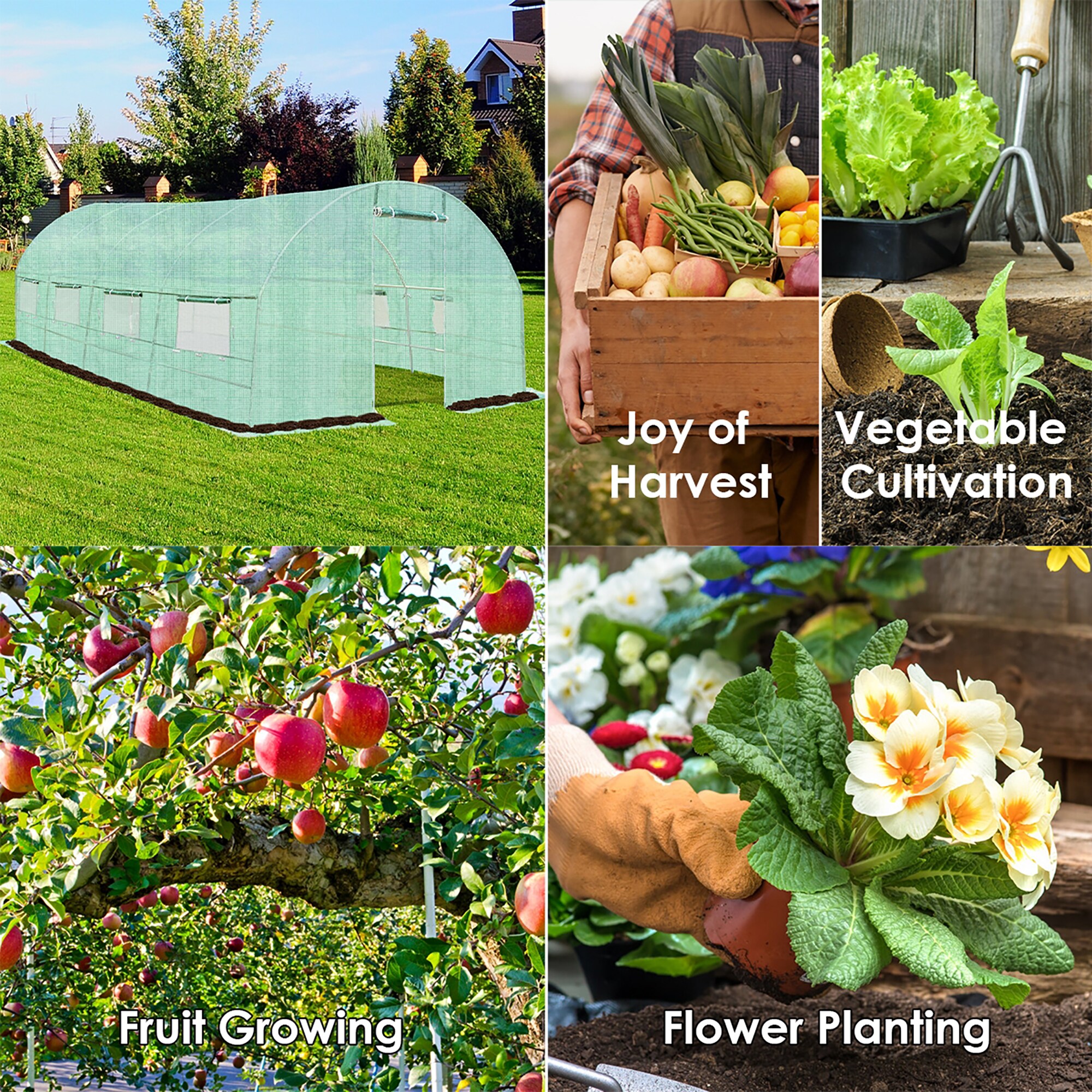 Forclover FLHY-585 greenhouses - View #9