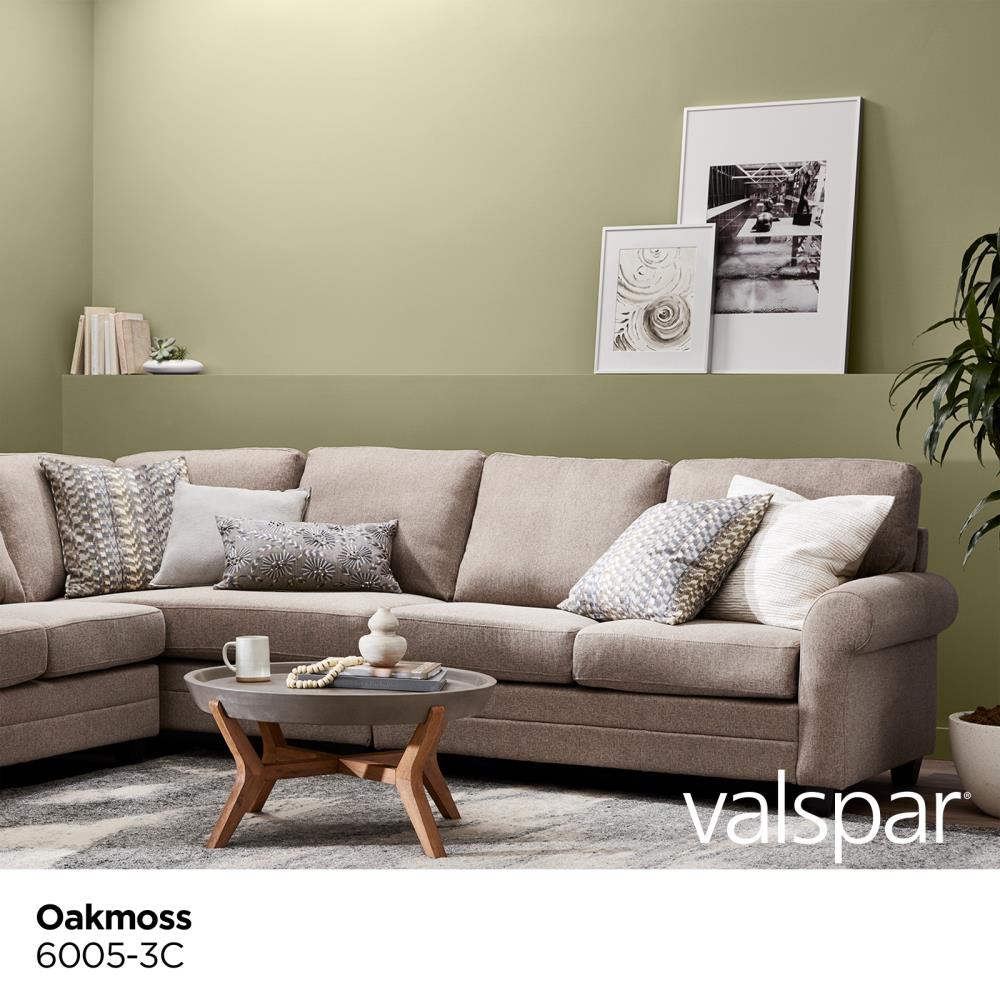 Valspar 6005-3C-935298 Int-Ext-Paint - View #2