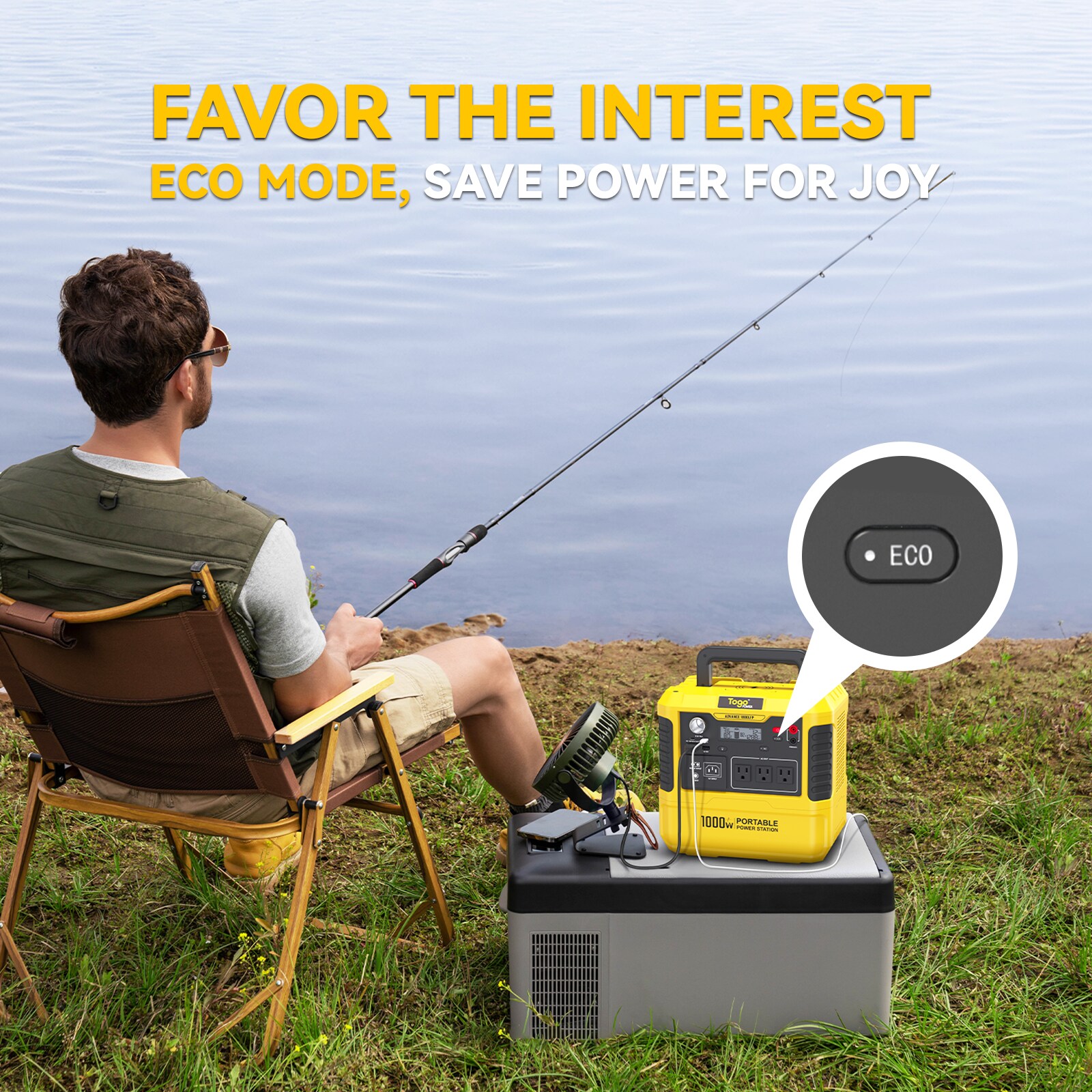 Togopower ADVANCE 1000LFP Solar-Generators - View #4