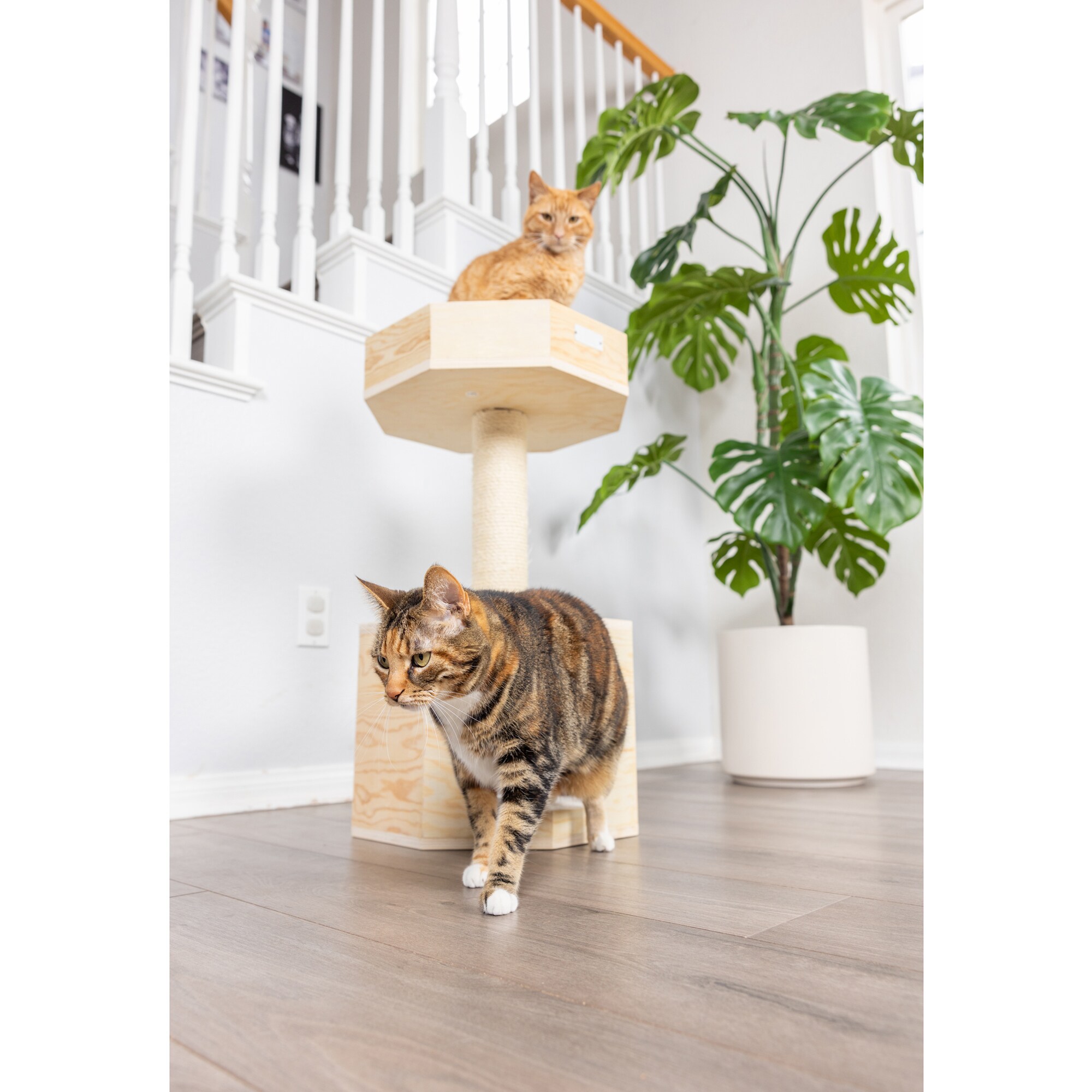 Armarkat S2906 Cat-Trees - View #13