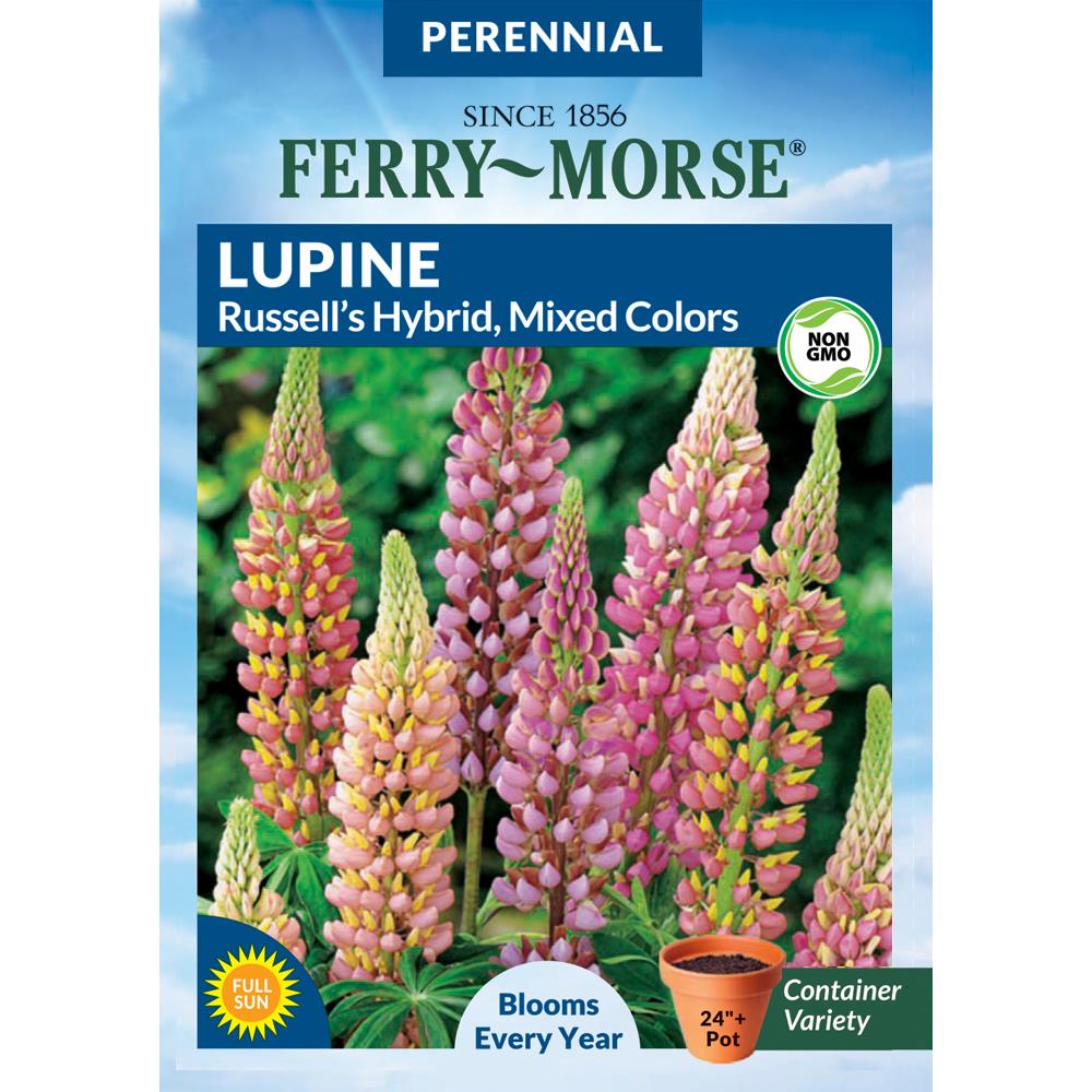 Ferry Morse Ferry Morse 20.20 Grams Lupine Russell's Mixed Colors ...