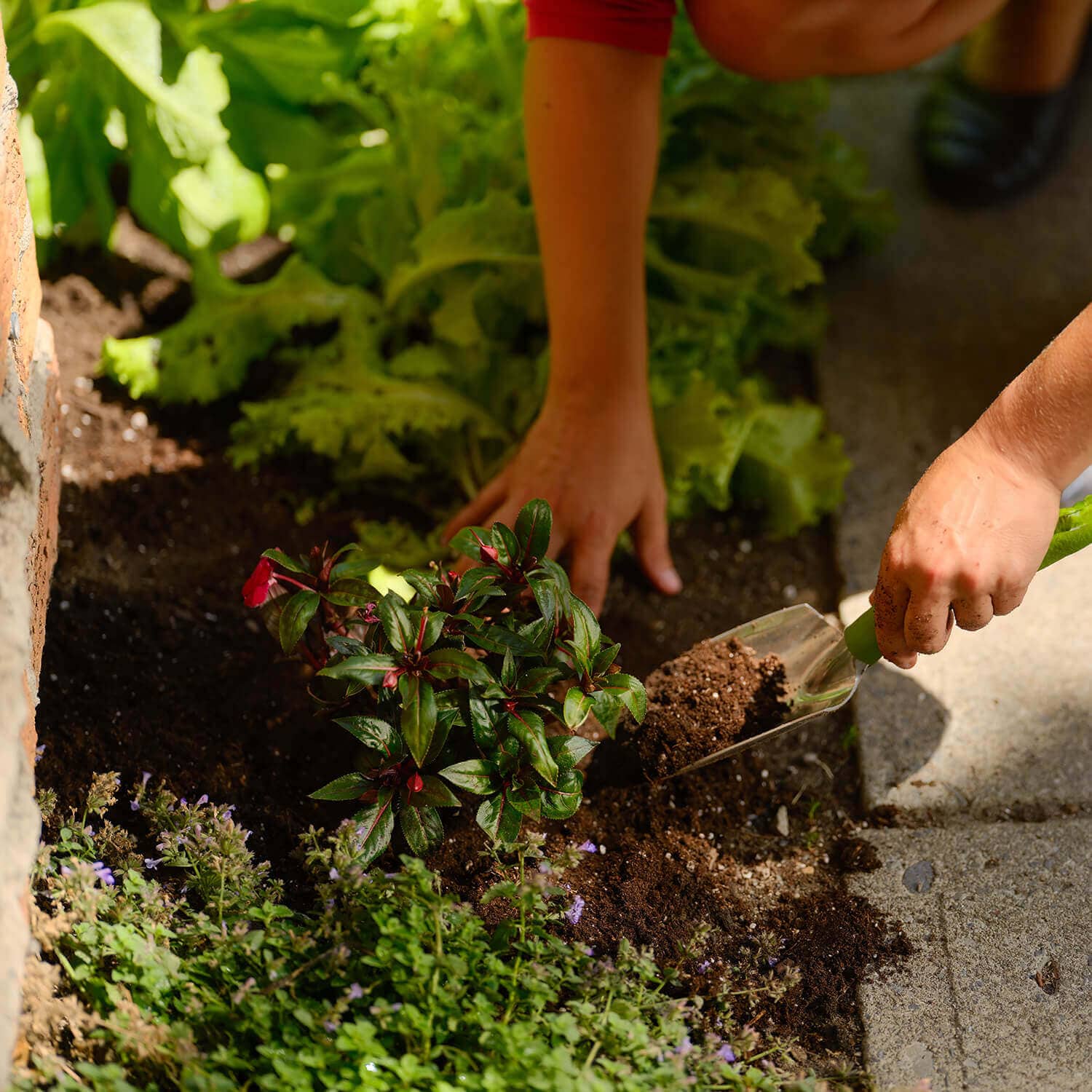 PRO-MIX 120975 Garden-Soil-Soil-Amendments - View #4