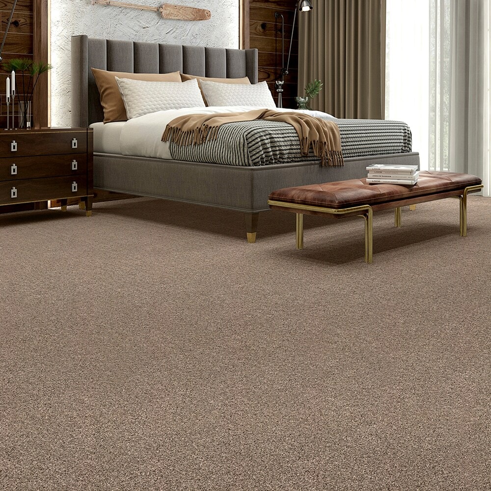 STAINMASTER STP22-L012-0808 Carpet-Samples - View #3