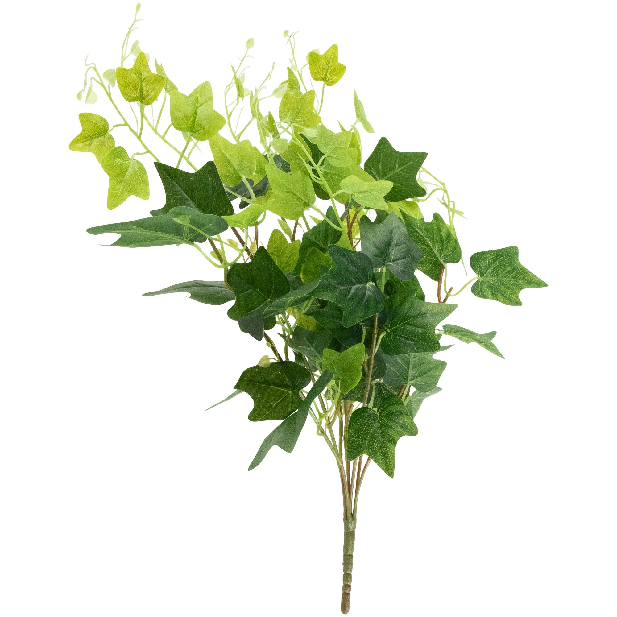 Northlight 32036009 Artificial-Plants-Trees - View #5