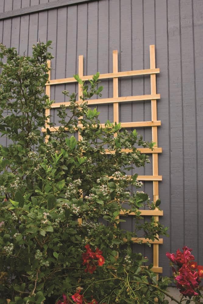 Garden Architecture Folding 42-in W x 48-in H Natural Utilitarian